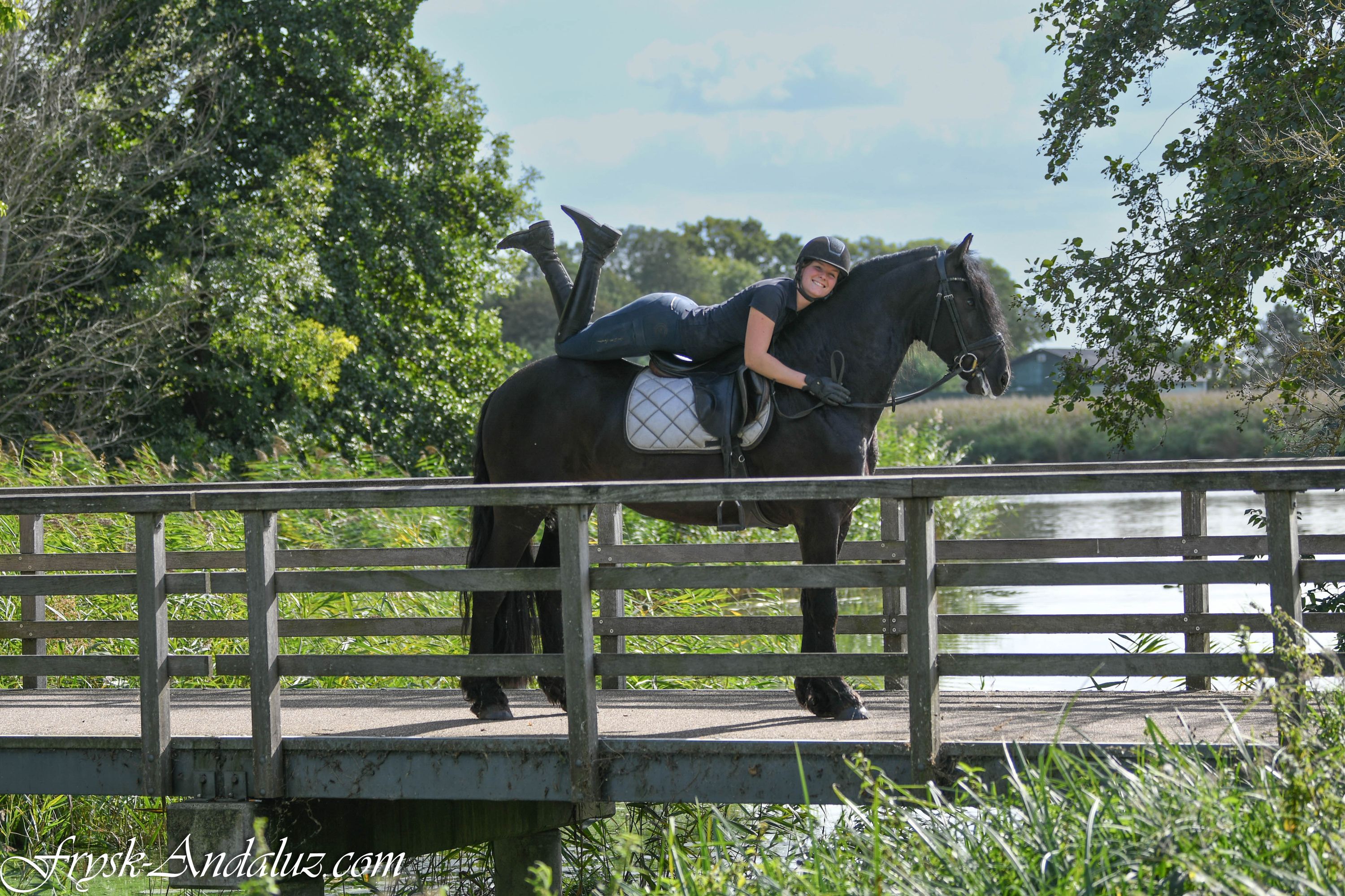 Lieve friese hengst Wappie