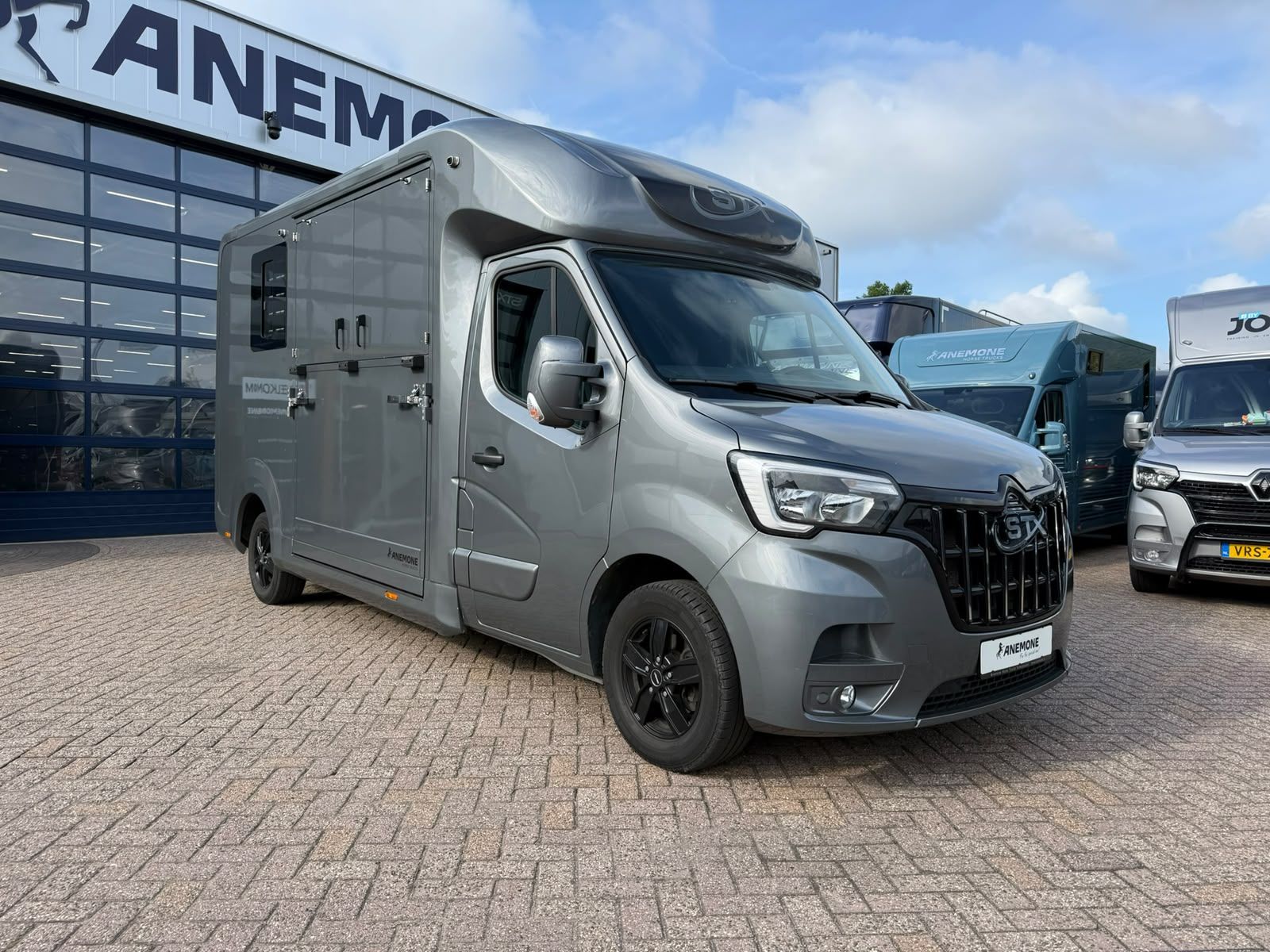STX Automaat Renault Master hengsten uitvoering Anemone (id:12)