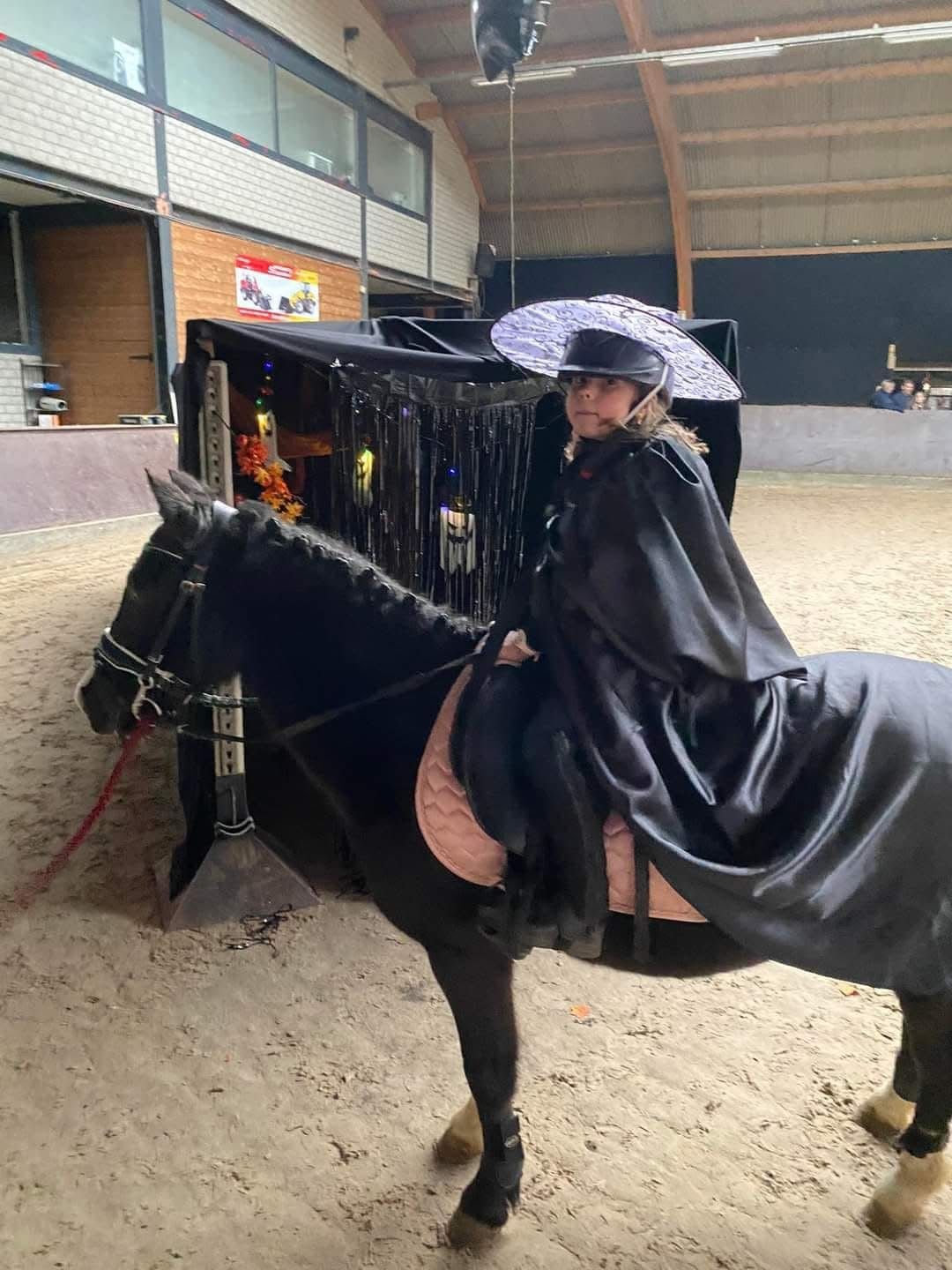 kwpn dressuurpaard ruin 17 år zwart till salu - Foto 5
