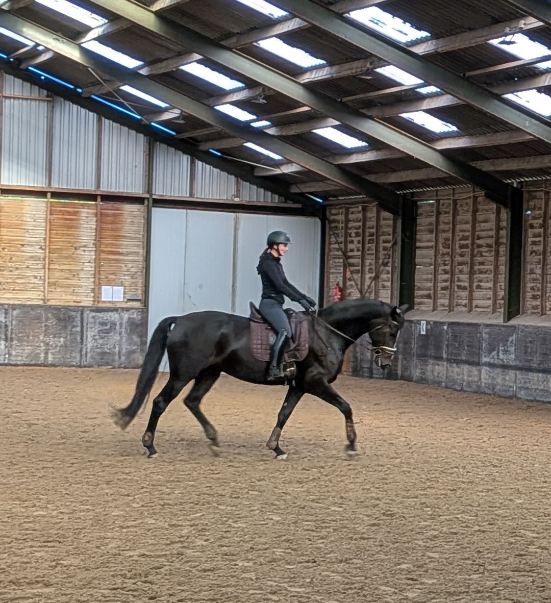 kwpn dressuurpaard merrie 6 years old donkerbruin for sale - Photo 4