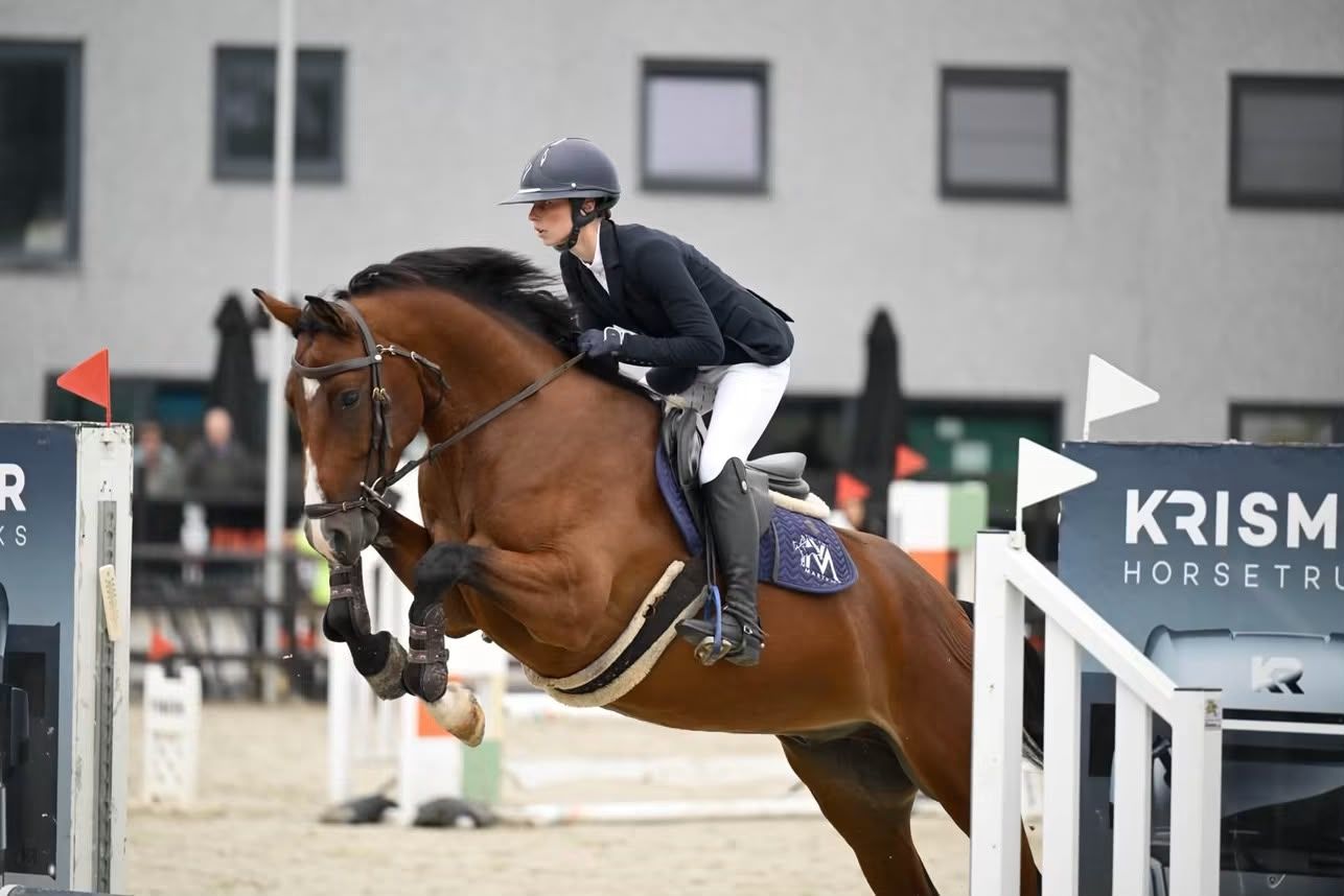 🐴 For Sale – VEGAS VM 2021 | Gelding | Promising Eventing Prospect