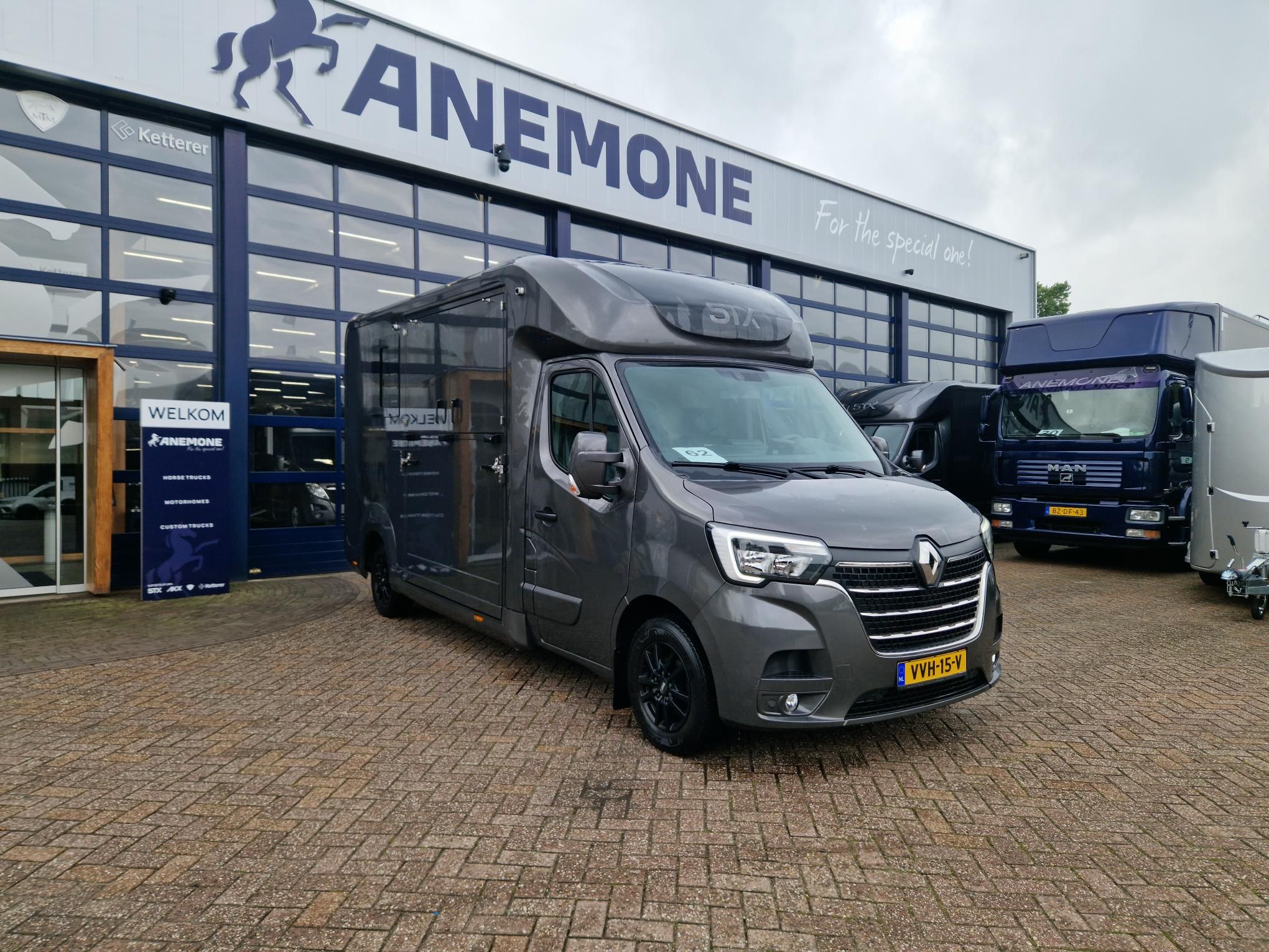 Jonge occasion Renault Master hengsten uitvoering Anemone (id:62)