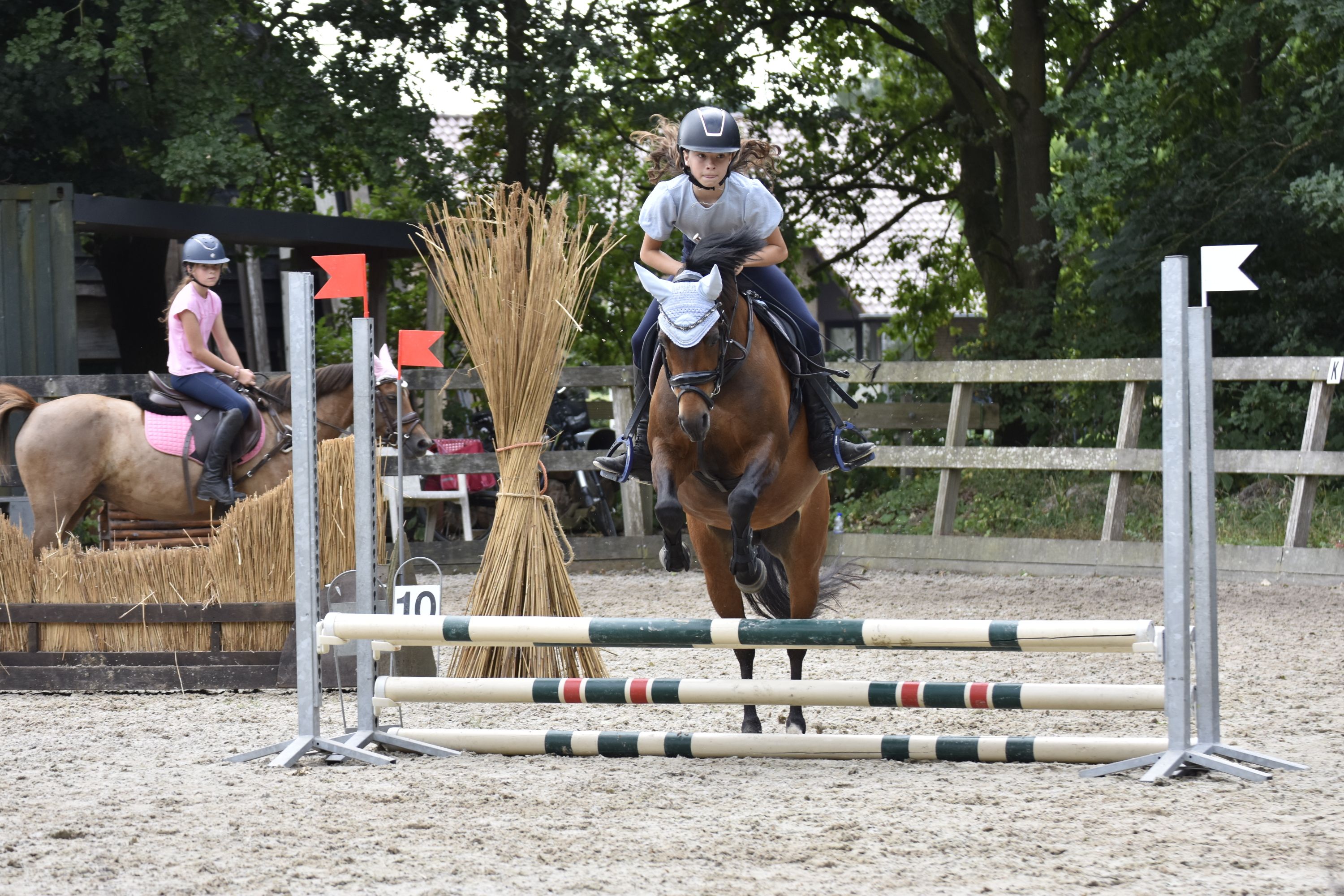 allround-pony merrie 11 years old for sale - Photo 4