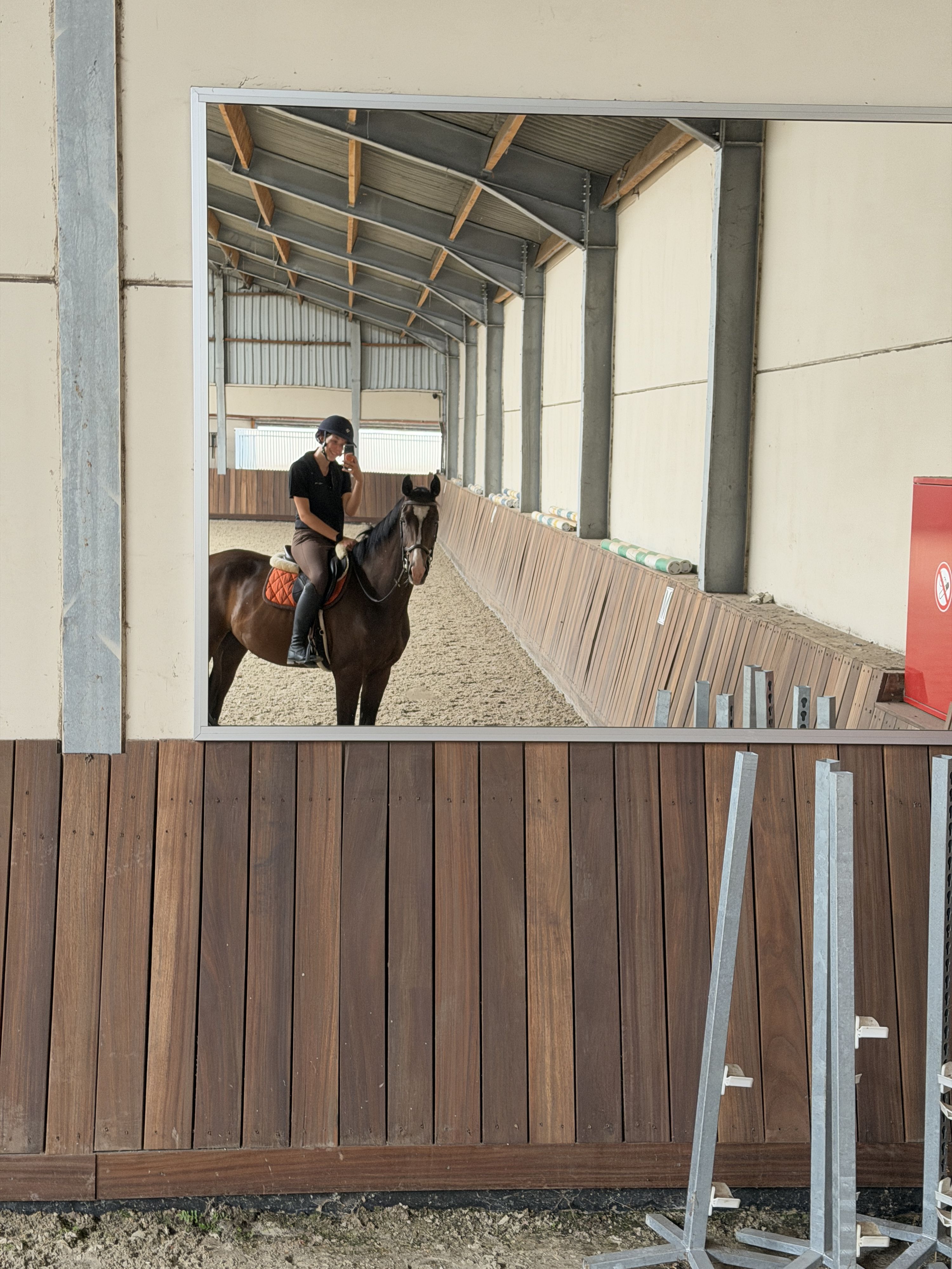 kwpn dressuurpaard ruin 3 Jahre alt donkerbruin zu verkaufen - Foto 3