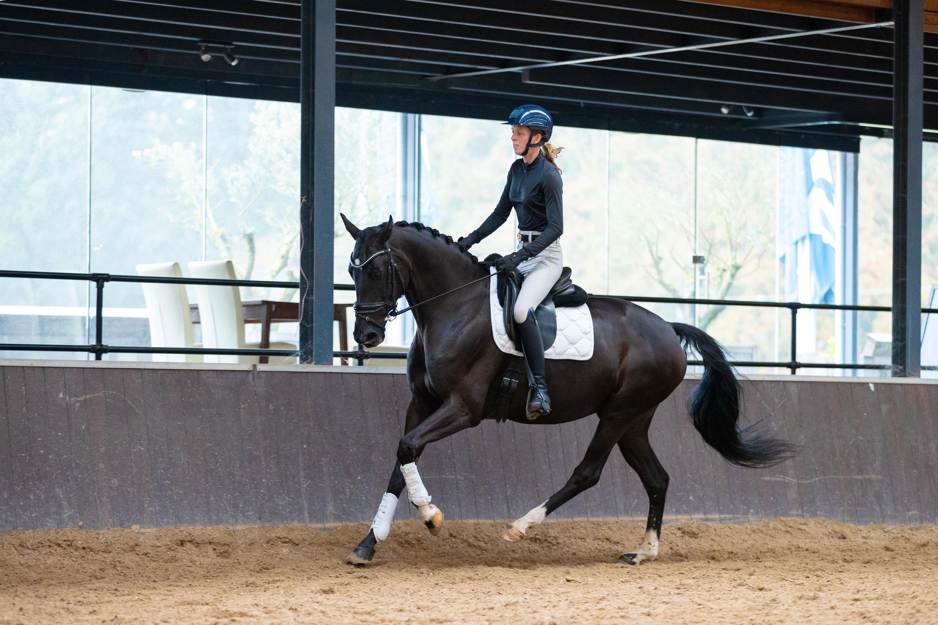 kwpn dressuurpaard merrie 6 år zwart till salu - Foto 3