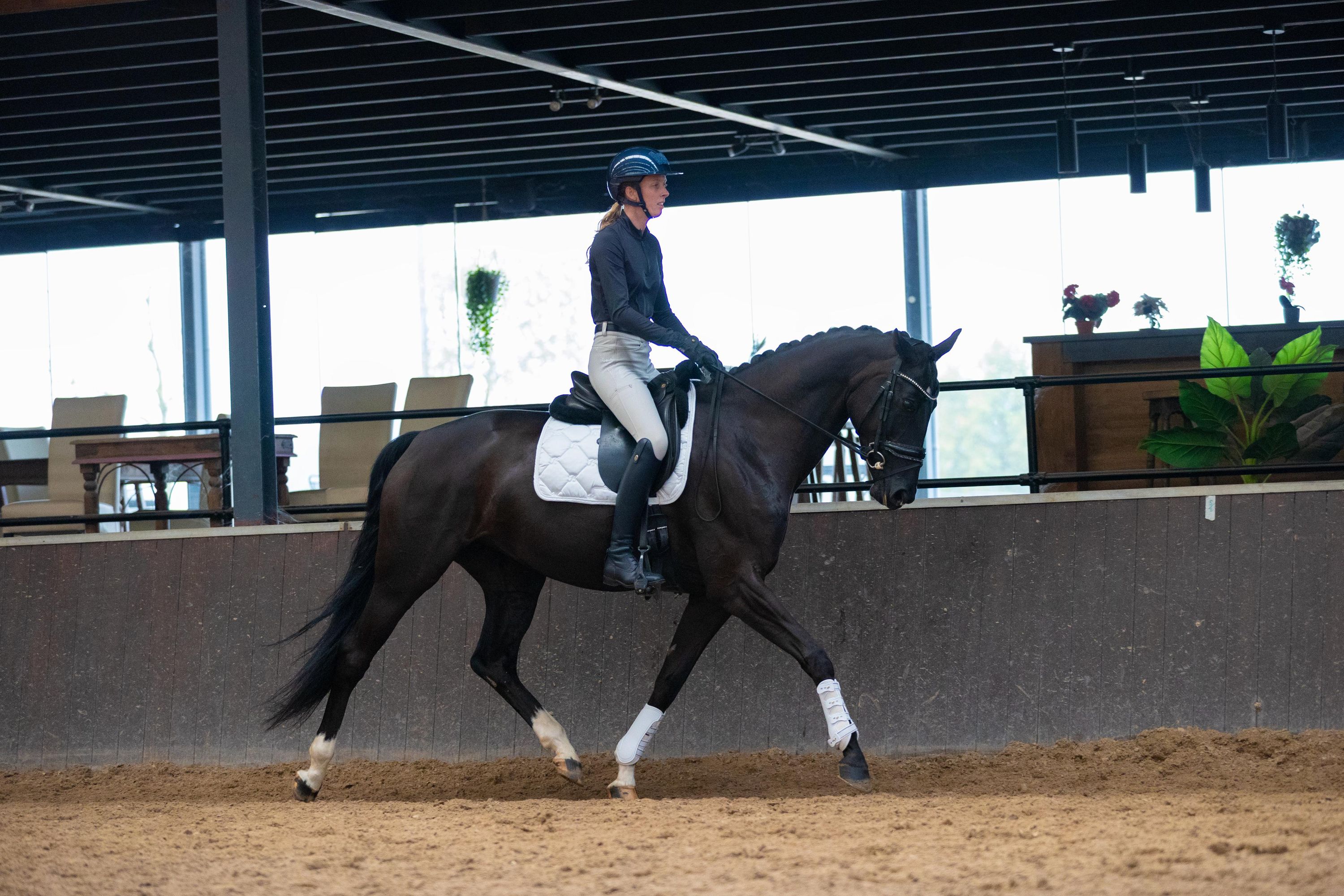 kwpn dressuurpaard merrie 6 år zwart till salu - Foto 4