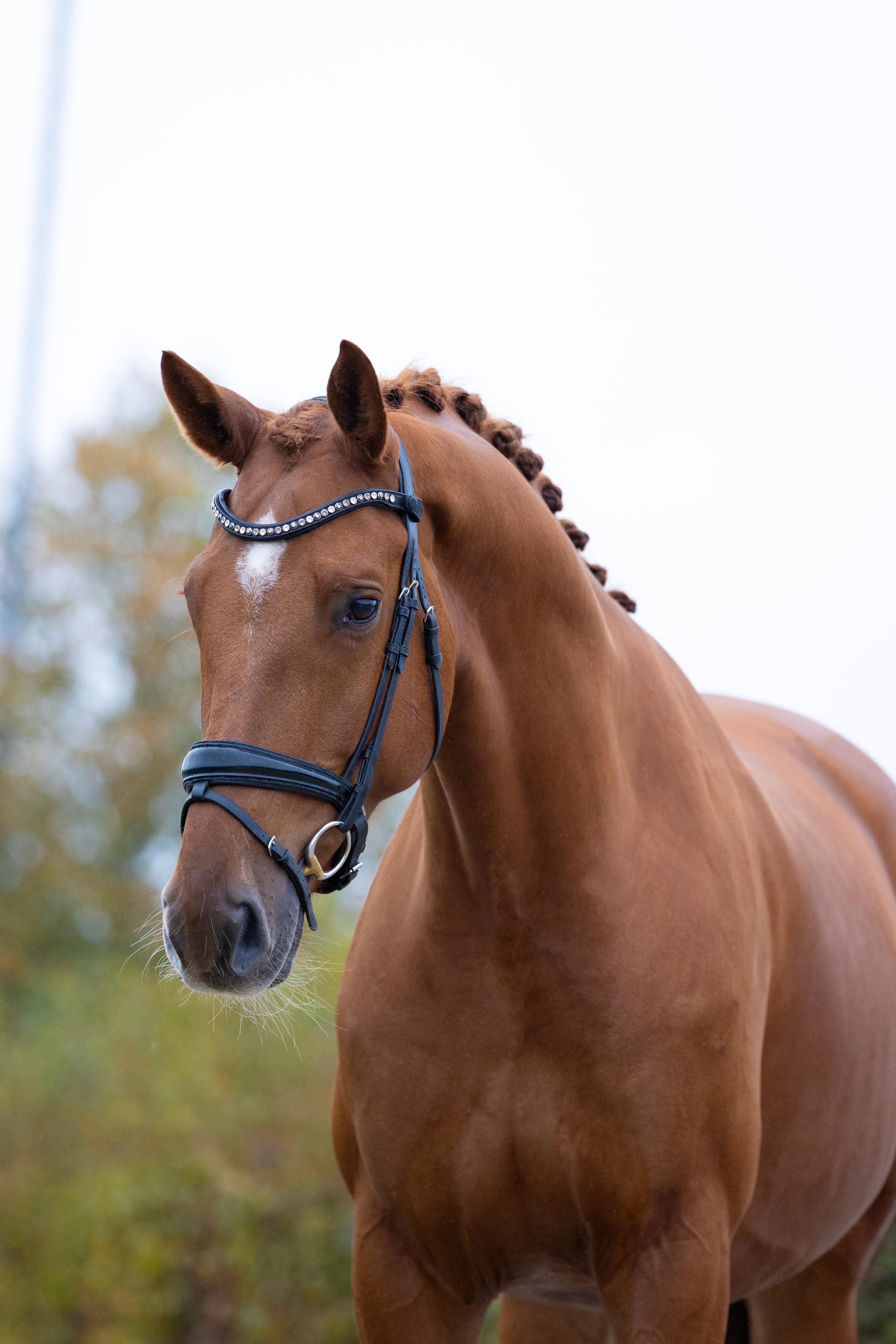Stadig och snäll 7-årig