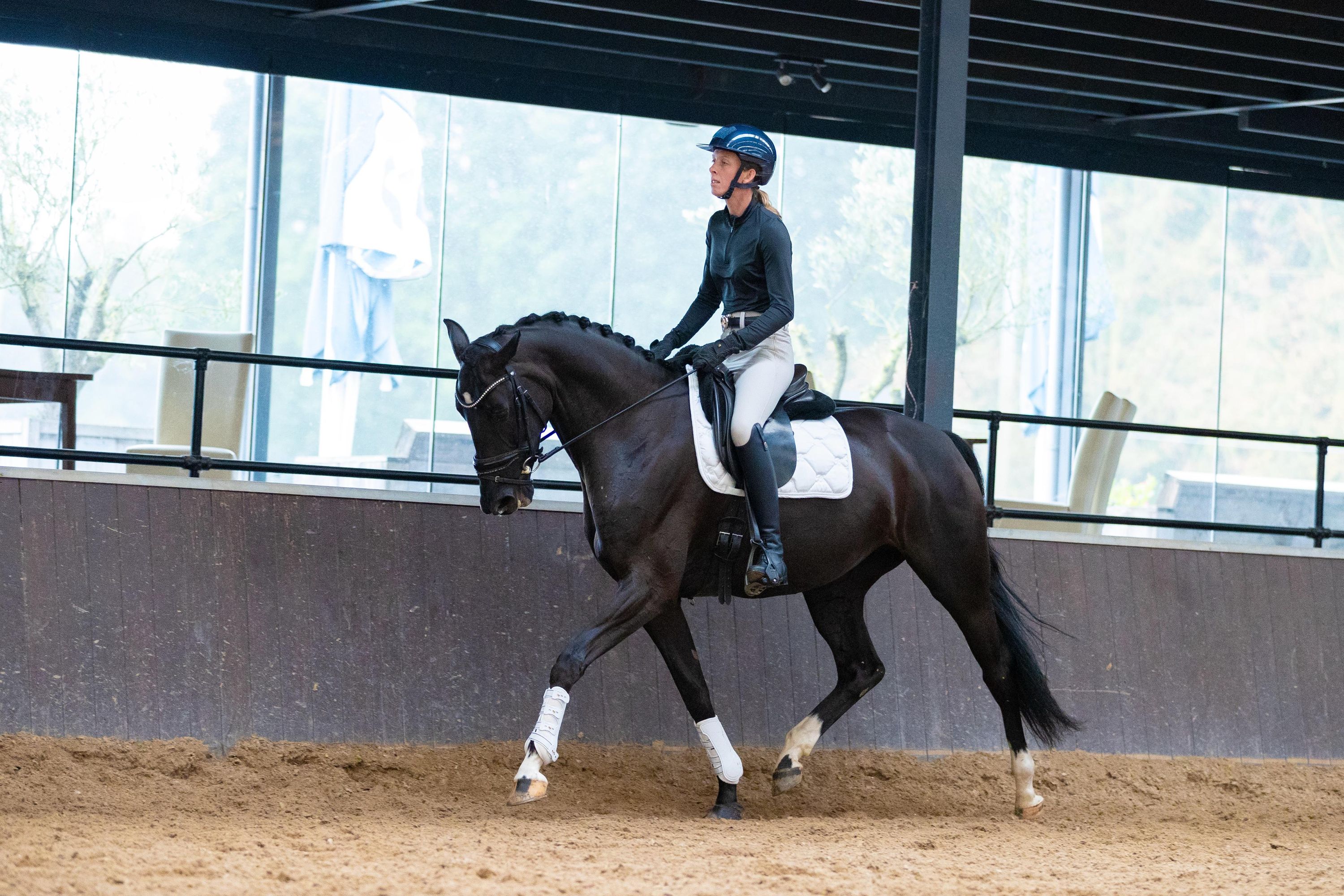 kwpn dressuurpaard merrie 6 år zwart till salu - Foto 4