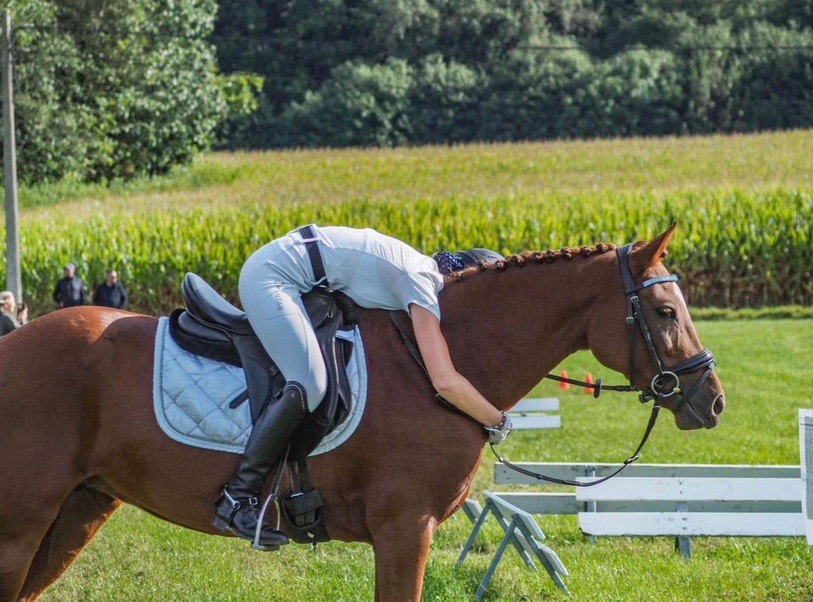 bwp dressuurpony merrie 13 years old vos for sale - Photo 6