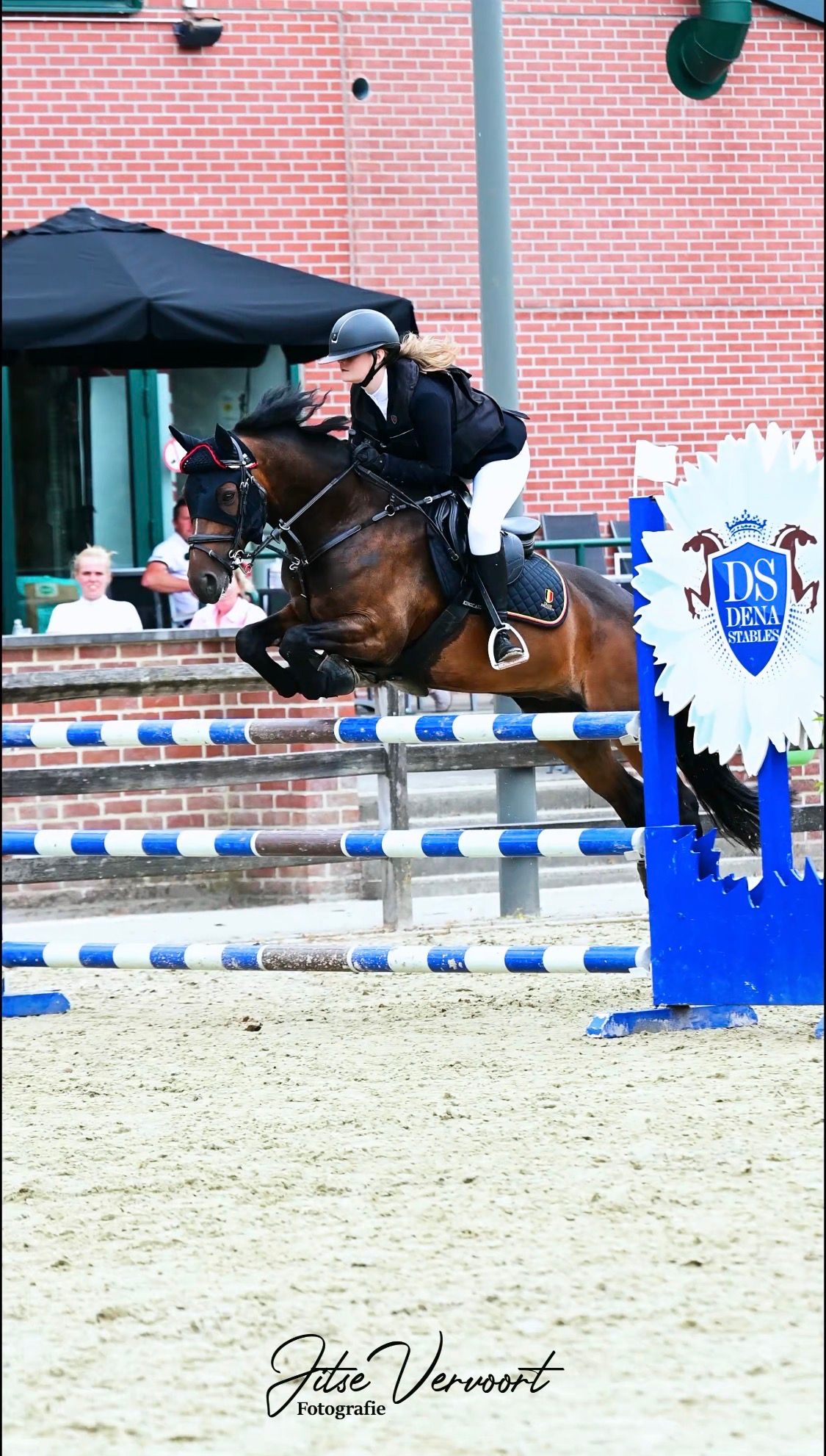 bwp eventingpony ruin 8 years old donkerbruin for sale - Photo 2