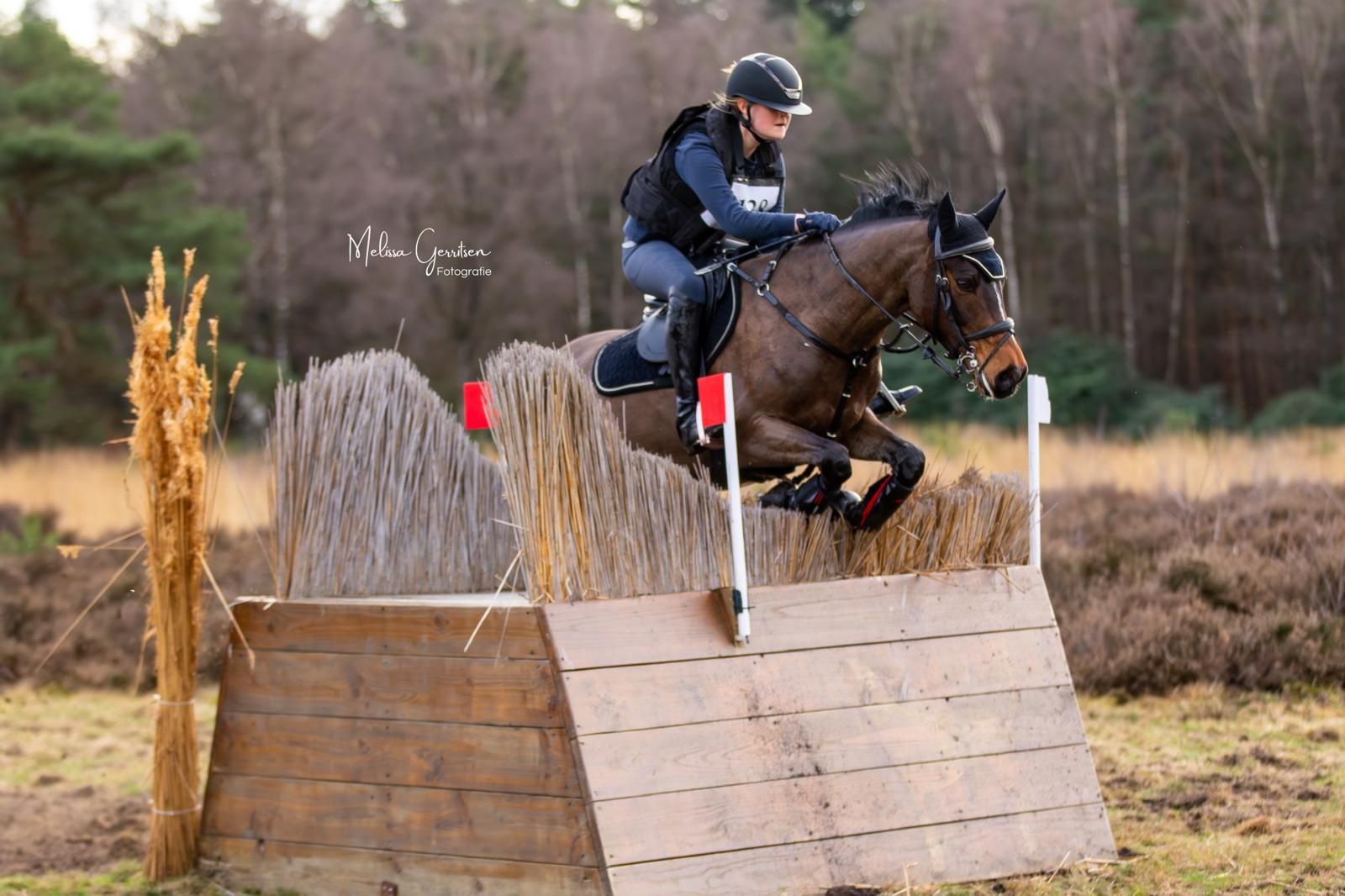bwp eventingpony ruin 8 years old donkerbruin for sale - Photo 6
