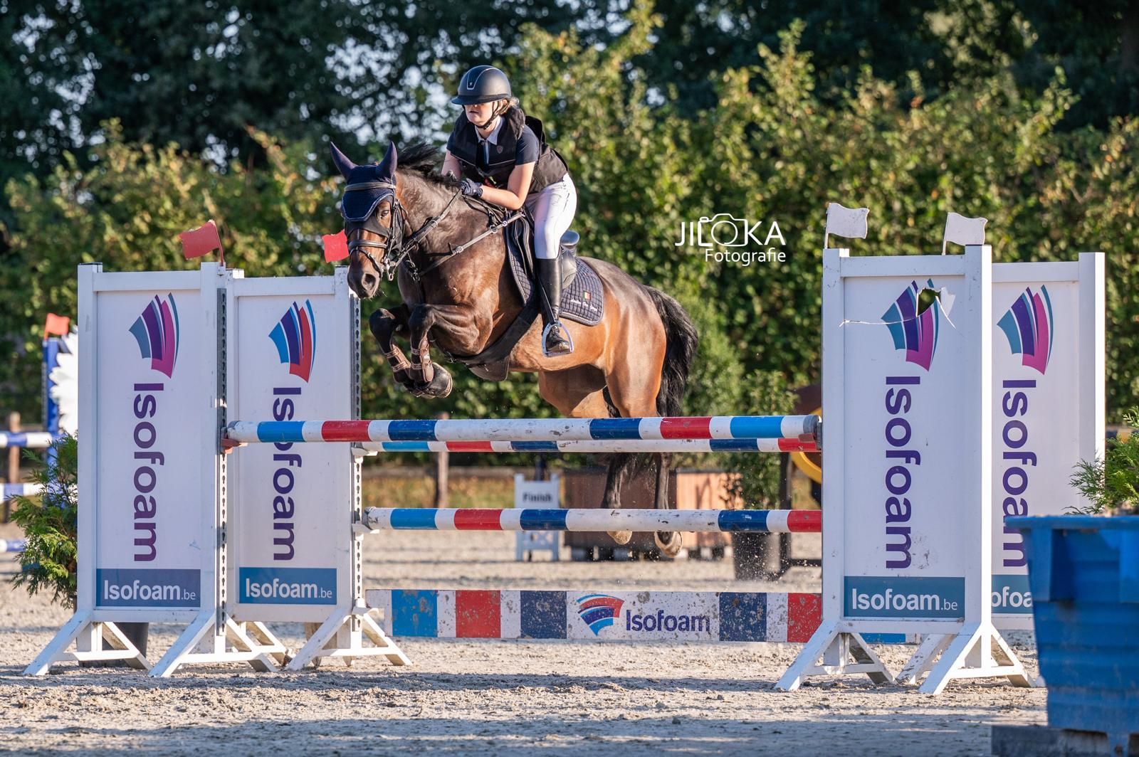 Eventing & Jumping Pony