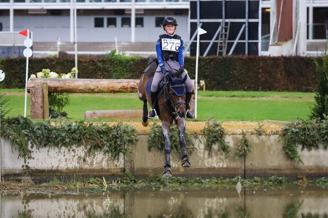 bwp eventingpony ruin 8 years old donkerbruin for sale - Photo 5