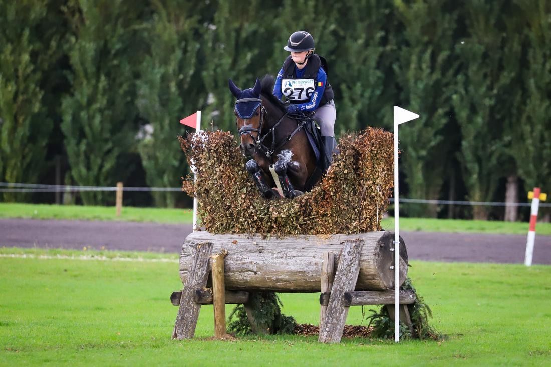 bwp eventingpony ruin 8 years old donkerbruin for sale - Photo 4
