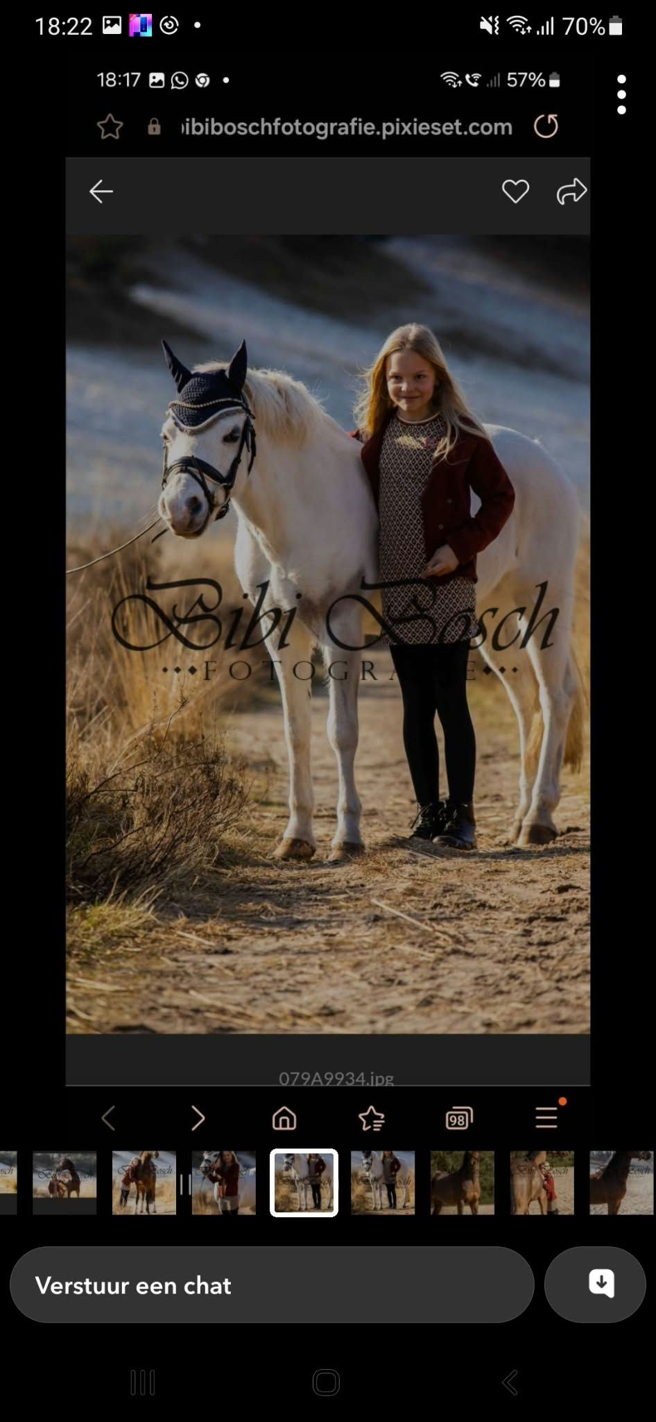 Krásný zkušený velšský pony, drezura L2
