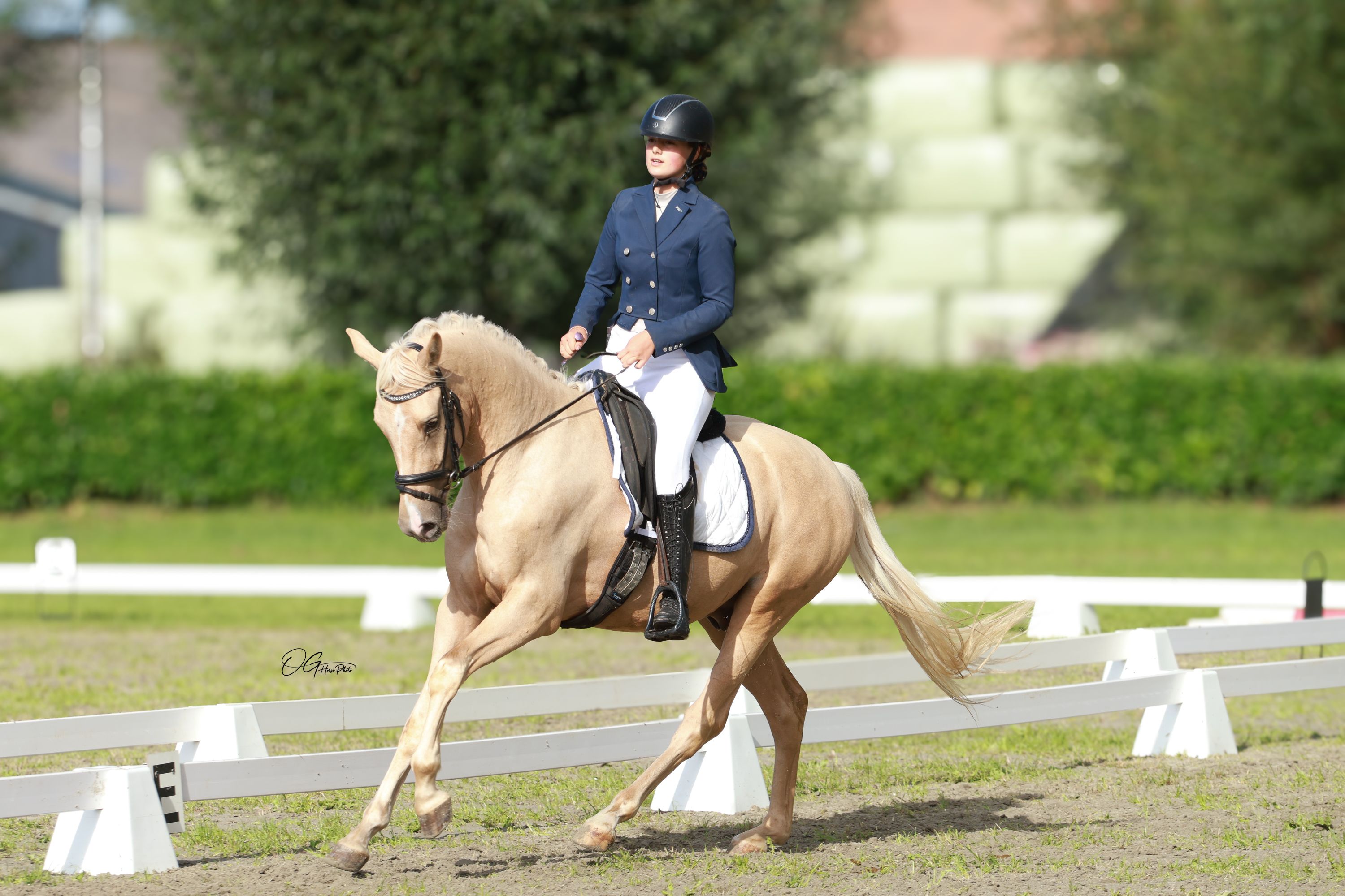 nrps dressuurpony ruin 3 år palomino till salu - Foto 2