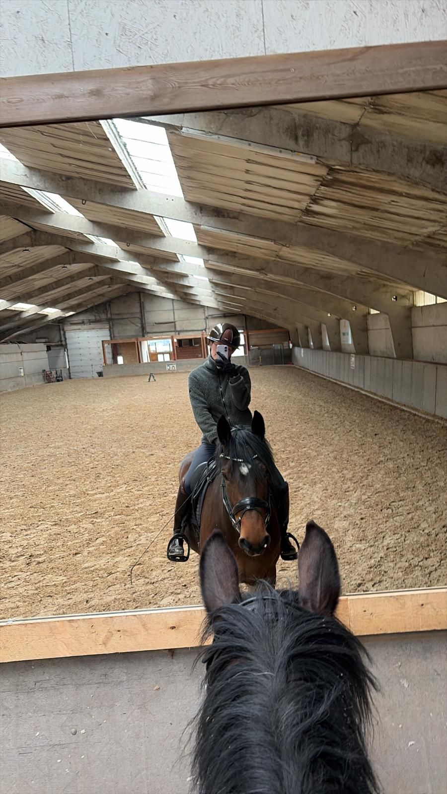 ander dressuurpaard merrie 6 jaar donkerbruin te koop - Foto 3