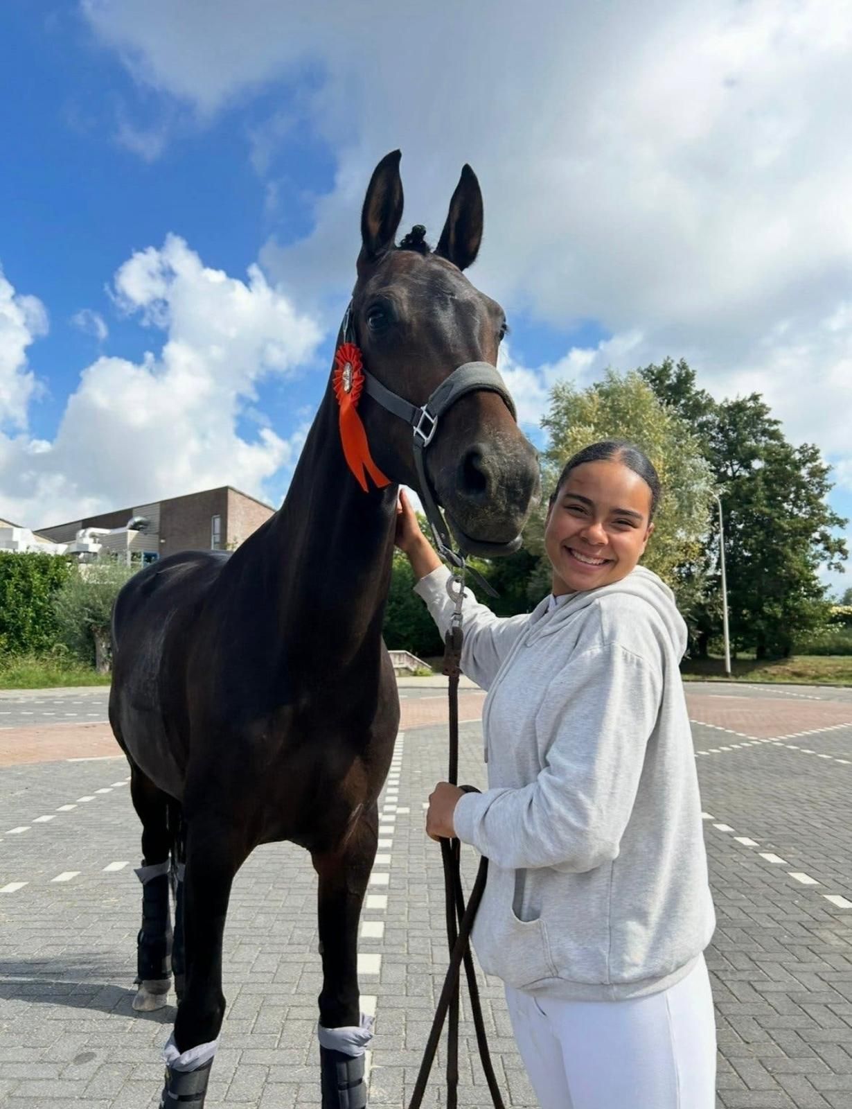 westfalen dressuurpaard merrie 10 years old donkerbruin for sale - Photo 6