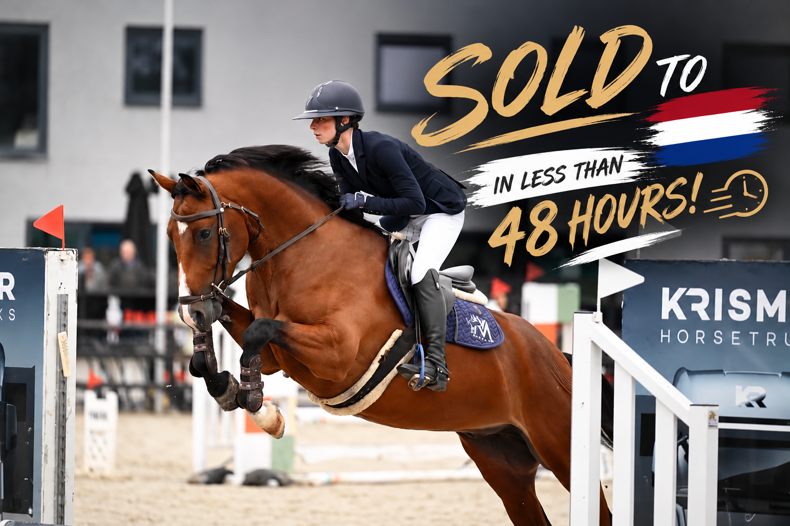 🐴 !!SOLD!! – VEGAS VM 2021 | Gelding | Promising Eventing Prospect