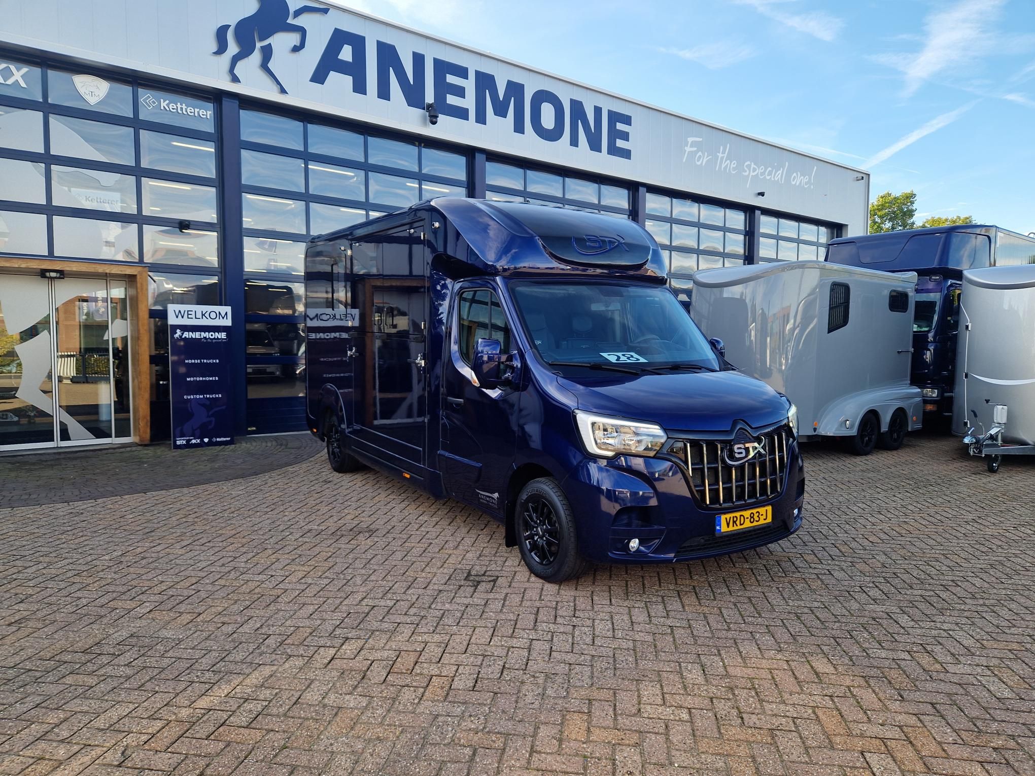 Used Renault Master stallion version Anemone (id:28)