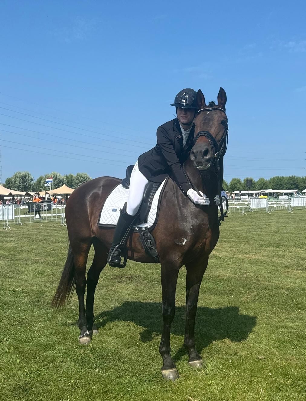 dressuurpony merrie 19 rokov donkerbruin na predaj - Foto 5
