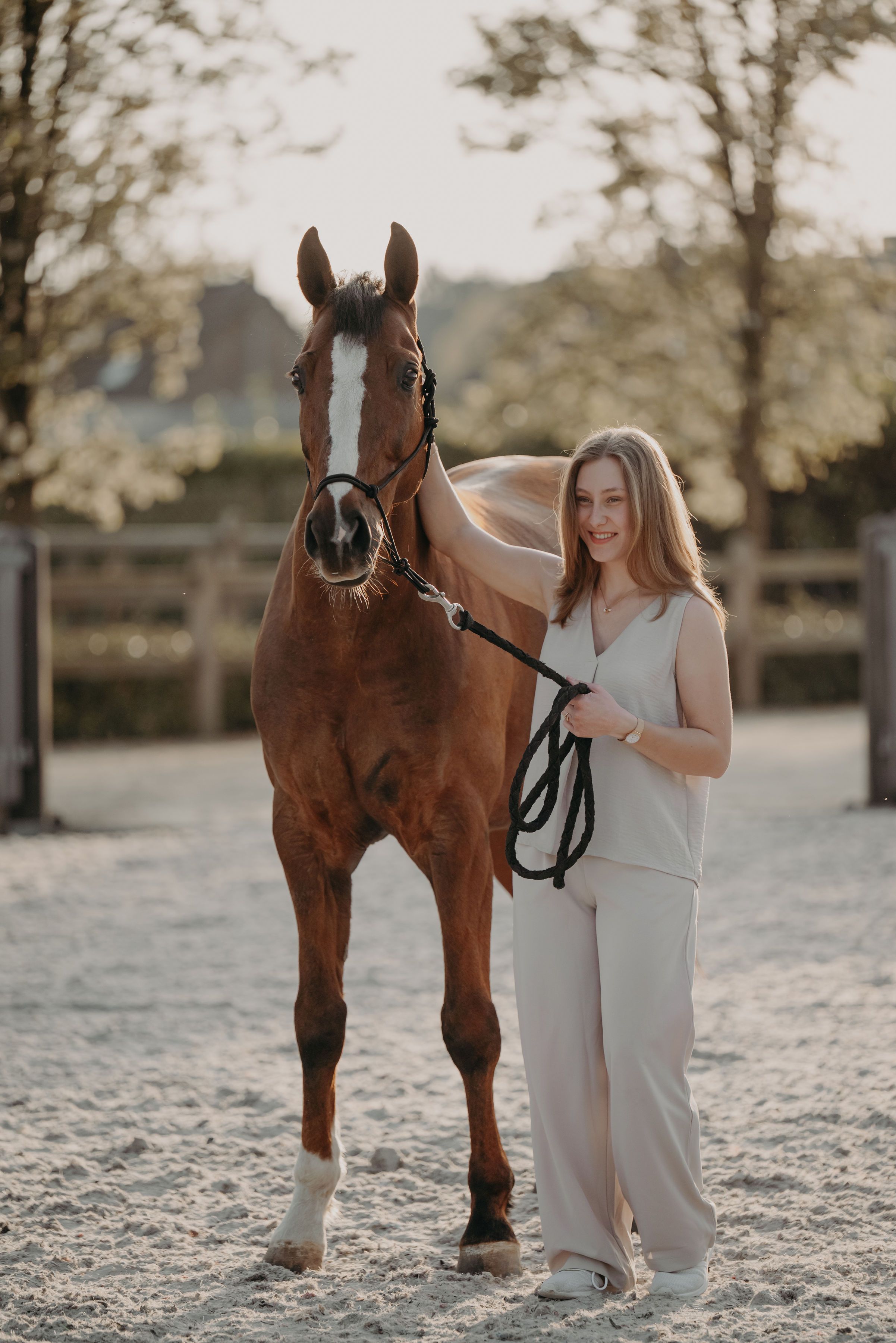 bwp paard ruin 12 år vos till salu - Foto 3