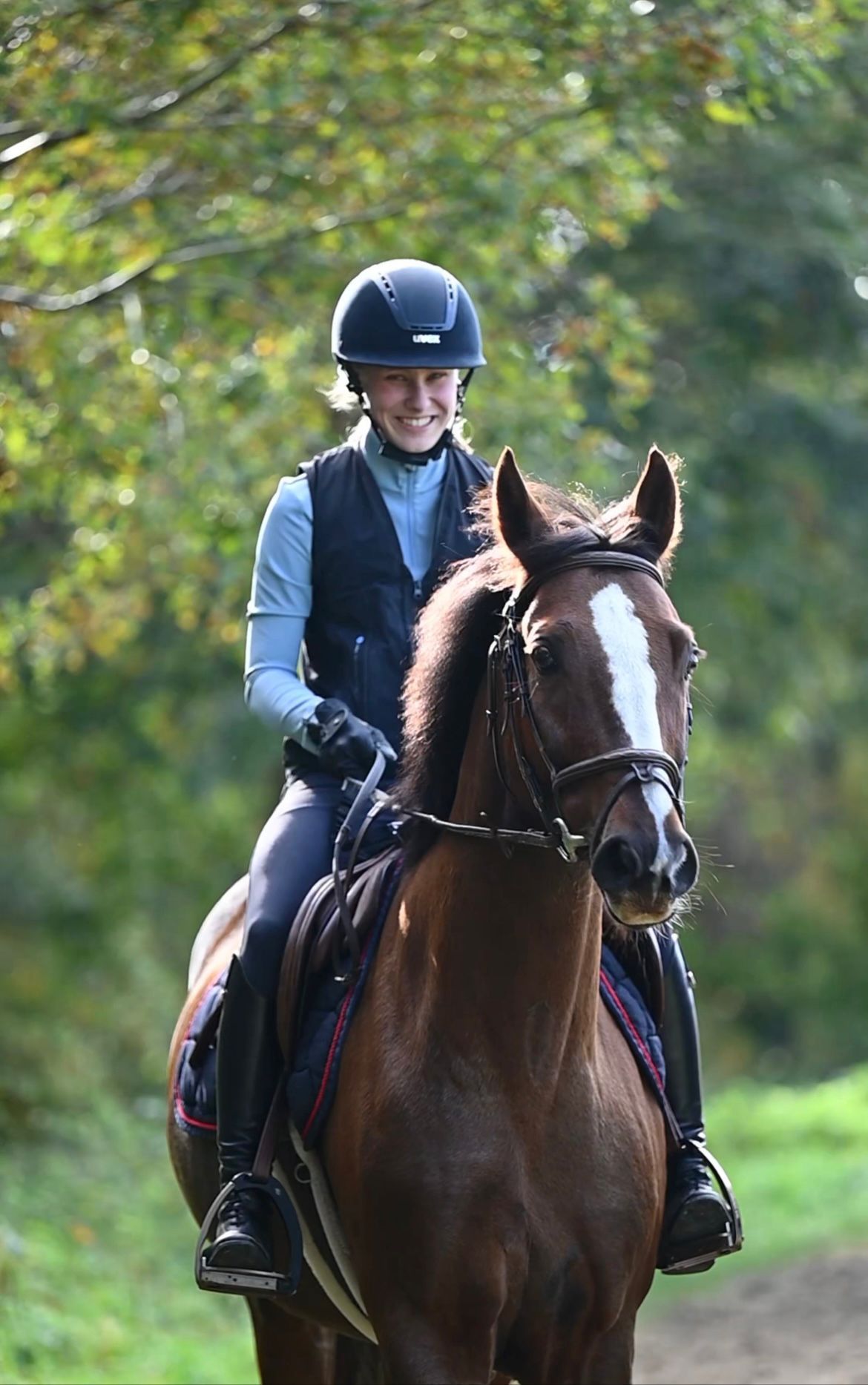 bwp paard ruin 12 jaar vos te koop - Foto 6