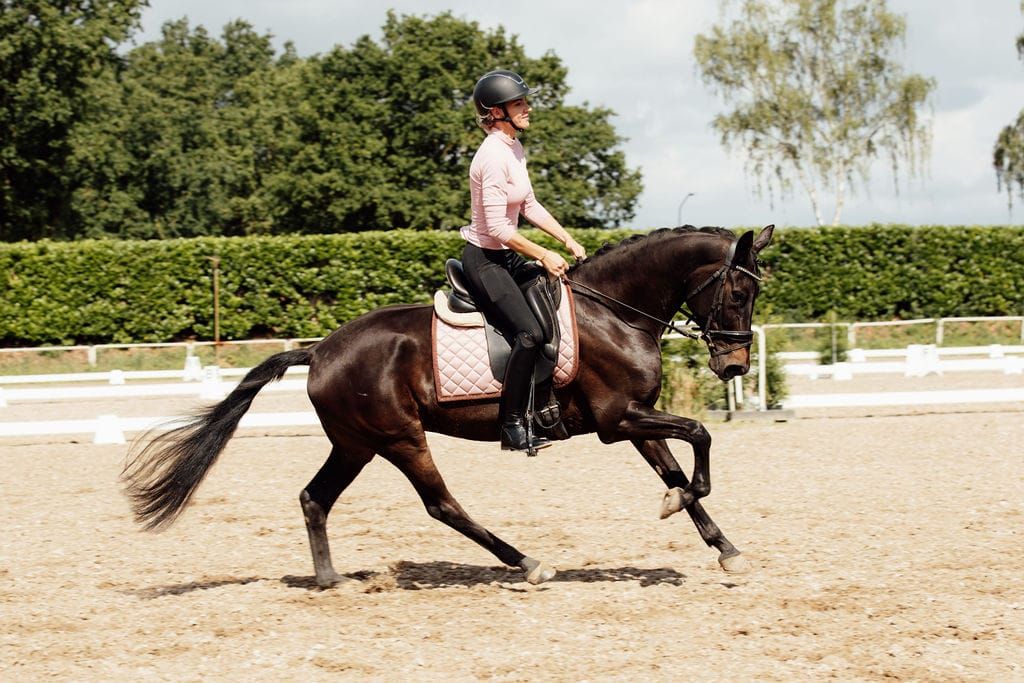 Attractive, well-moving mare with a fine character.