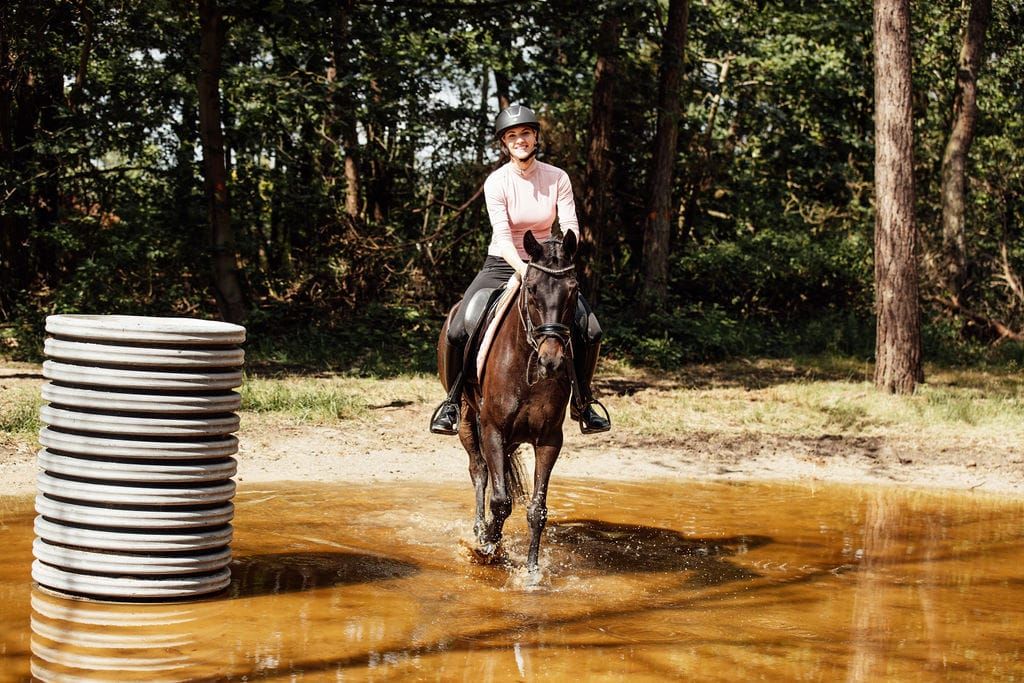 kwpn dressuurpony merrie 8 år zwart till salu - Foto 5