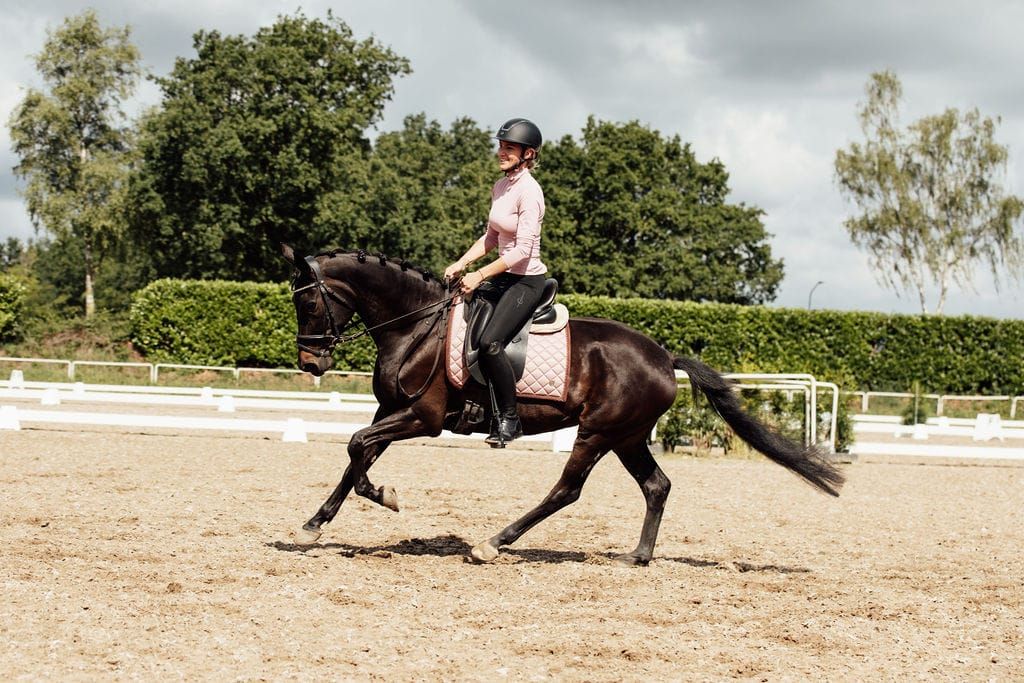 kwpn dressuurpony merrie 8 år zwart till salu - Foto 3
