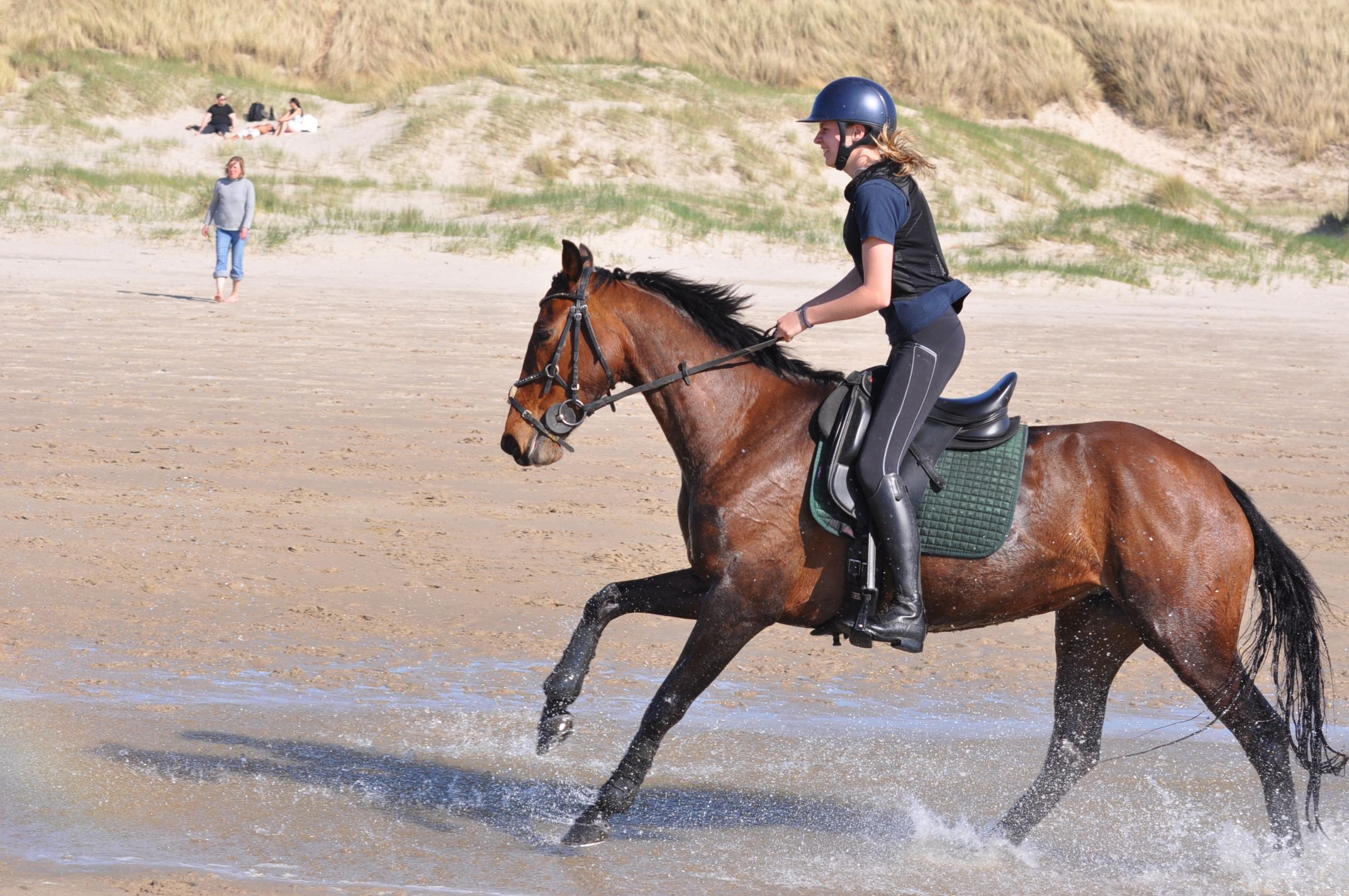 kwpn allround-pony merrie 9 years old bruin for sale - Photo 5