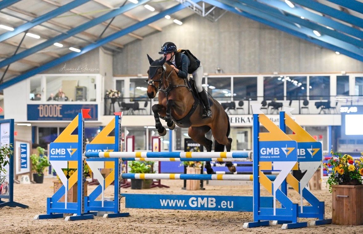 Sympathisches Allround-Sportpony