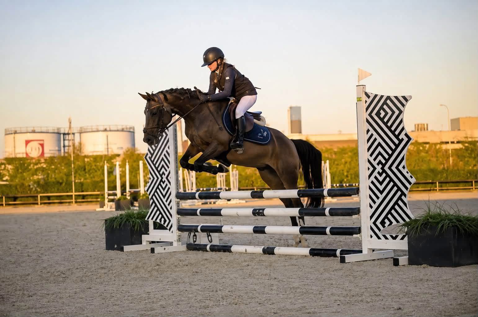 nrps allrounder merrie 10 anos donkerbruin à venda - Foto 4