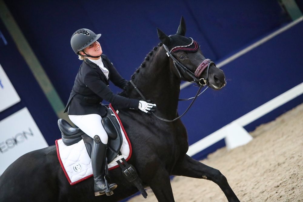 kwpn dressuurpaard merrie 12 岁 zwart 出售 - 照片 5
