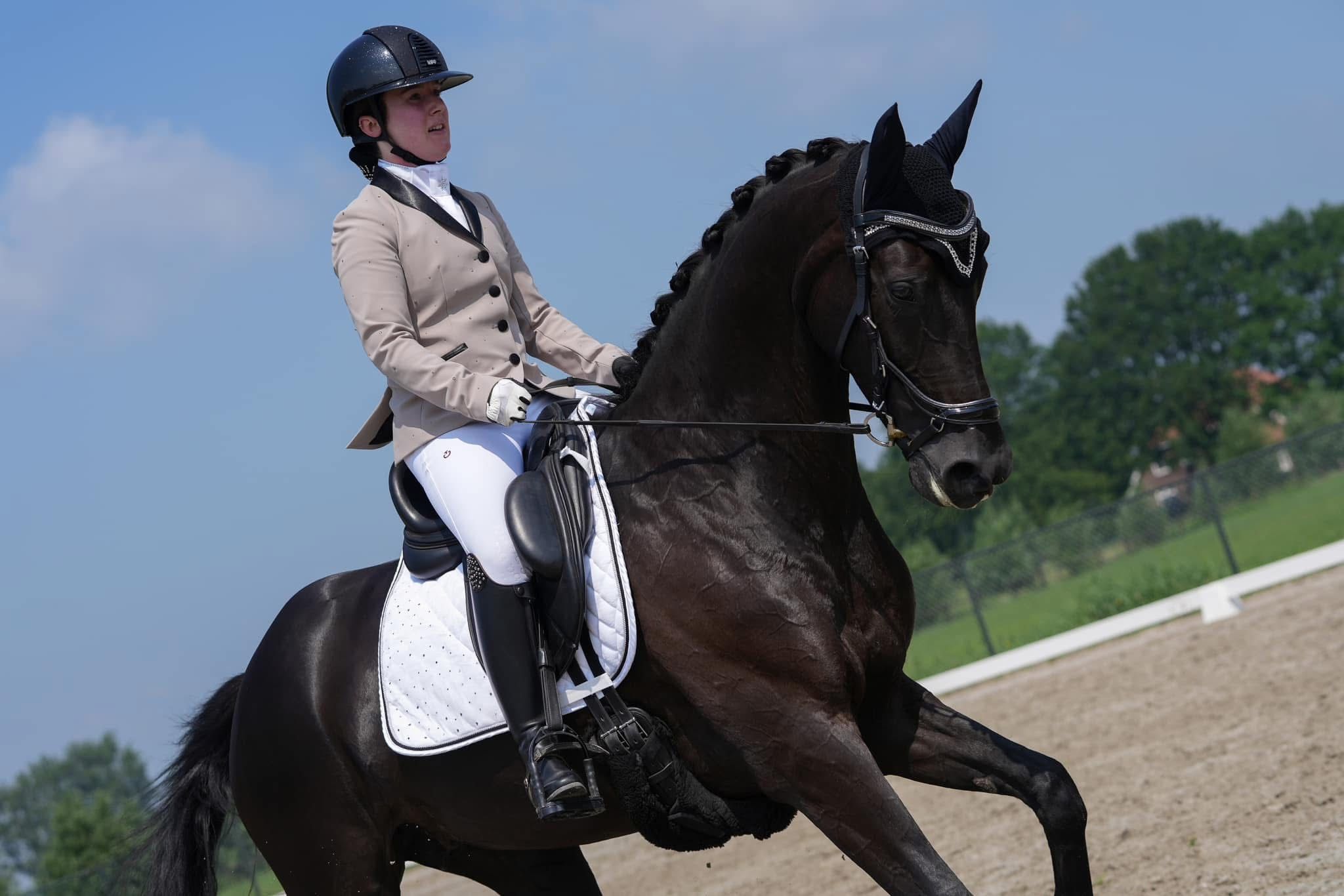 kwpn dressuurpaard merrie 12 岁 zwart 出售 - 照片 4