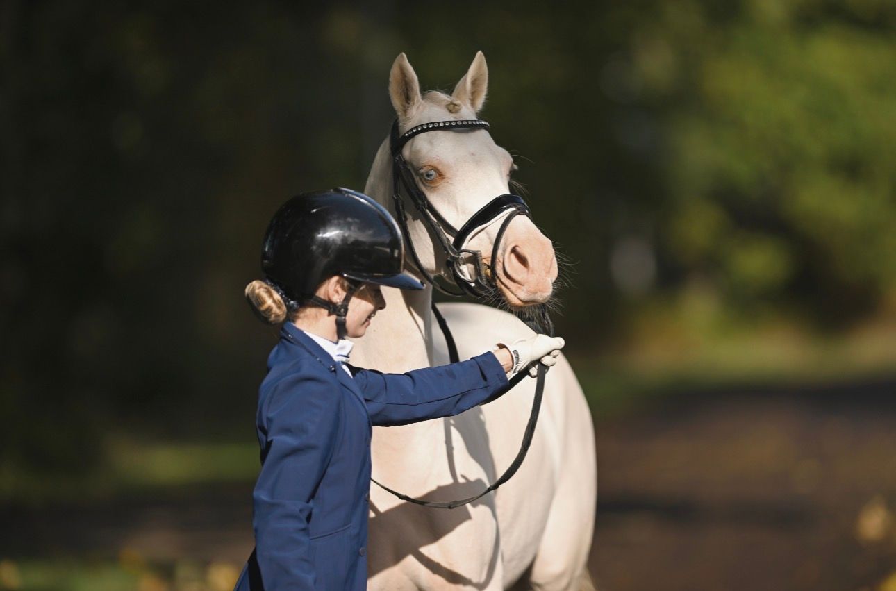 Talented, unique children's sport pony