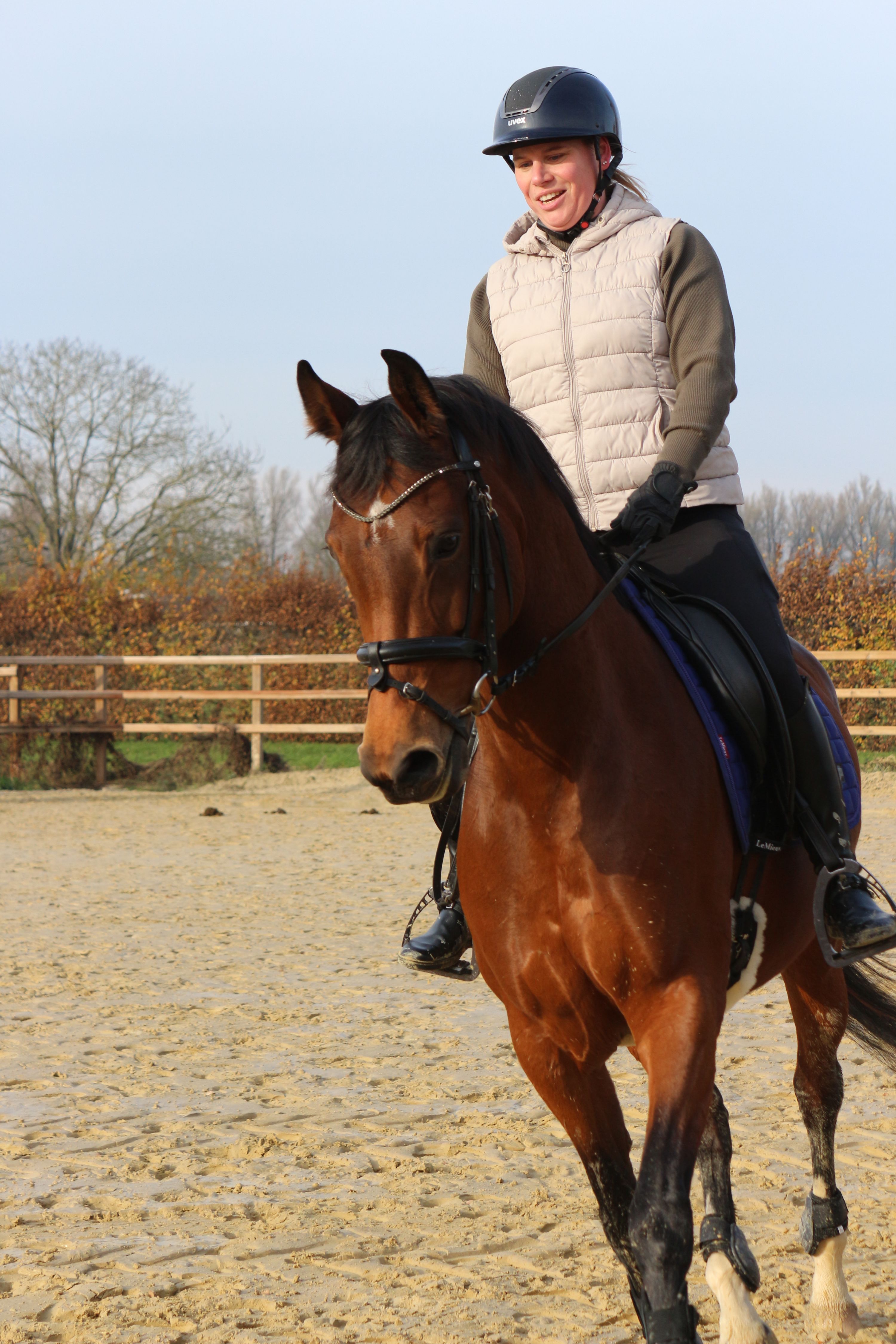 kwpn dressuurpaard merrie 8 Jahre alt bruin zu verkaufen - Foto 3