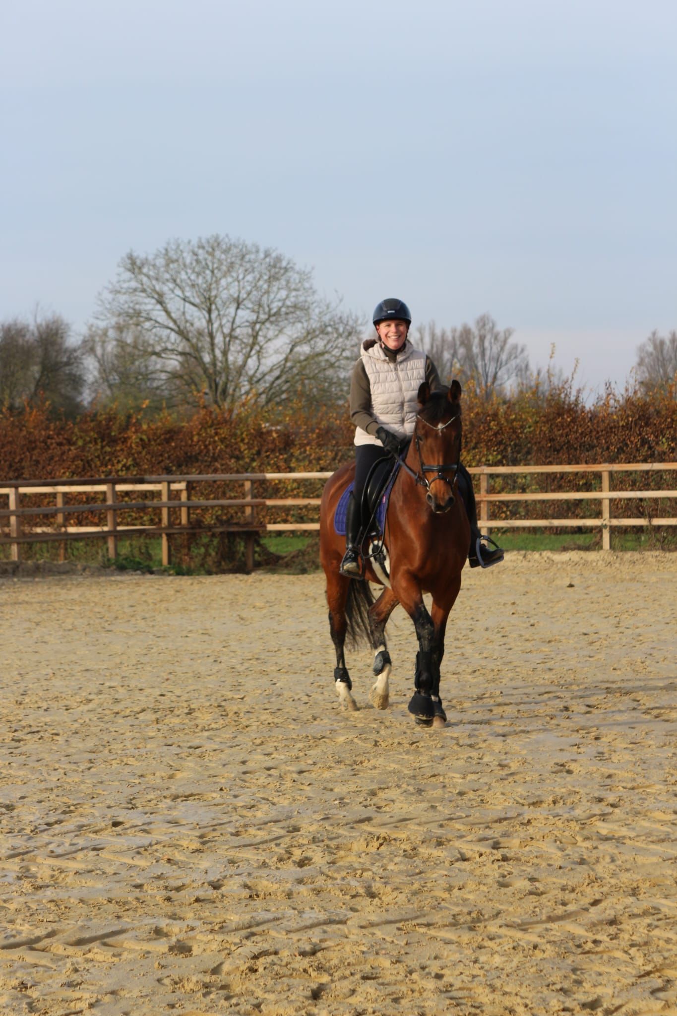 kwpn dressuurpaard merrie 8 Jahre alt bruin zu verkaufen - Foto 6