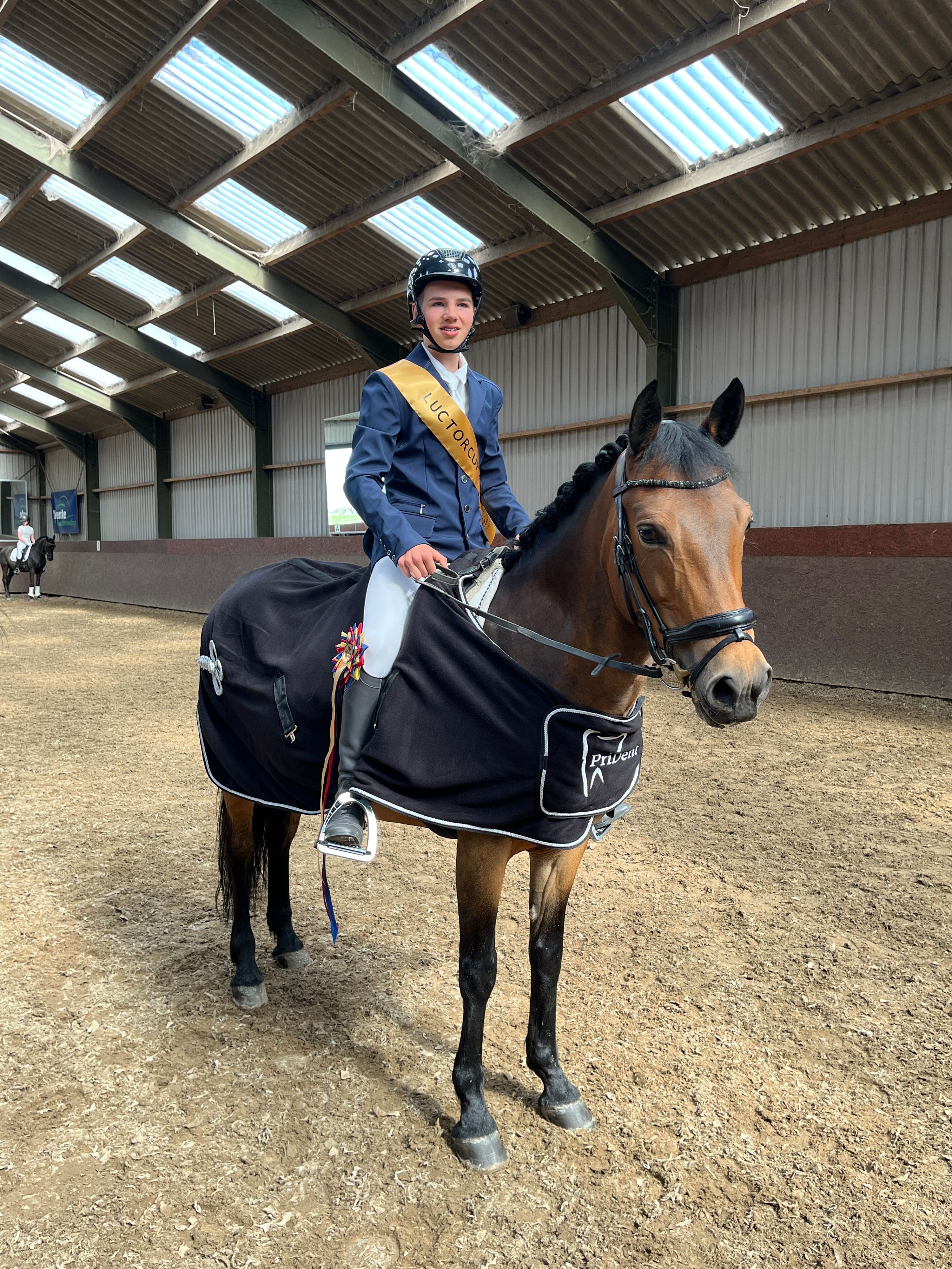 new-forest dressuurpony merrie 11 år til salg - Foto 5