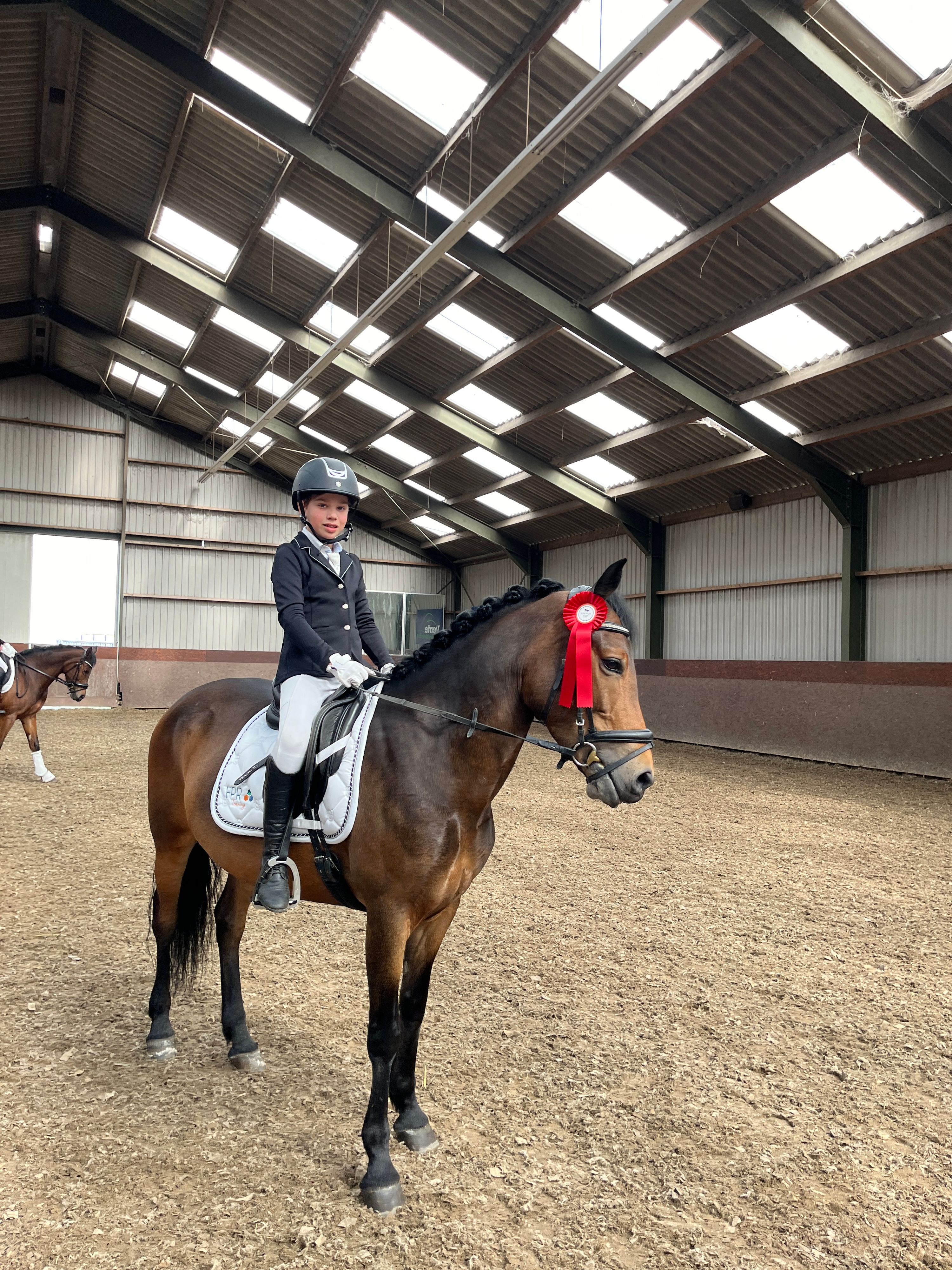new-forest dressuurpony merrie 11 år til salg - Foto 4