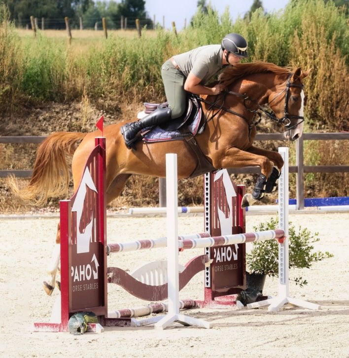5-jährige Springstute