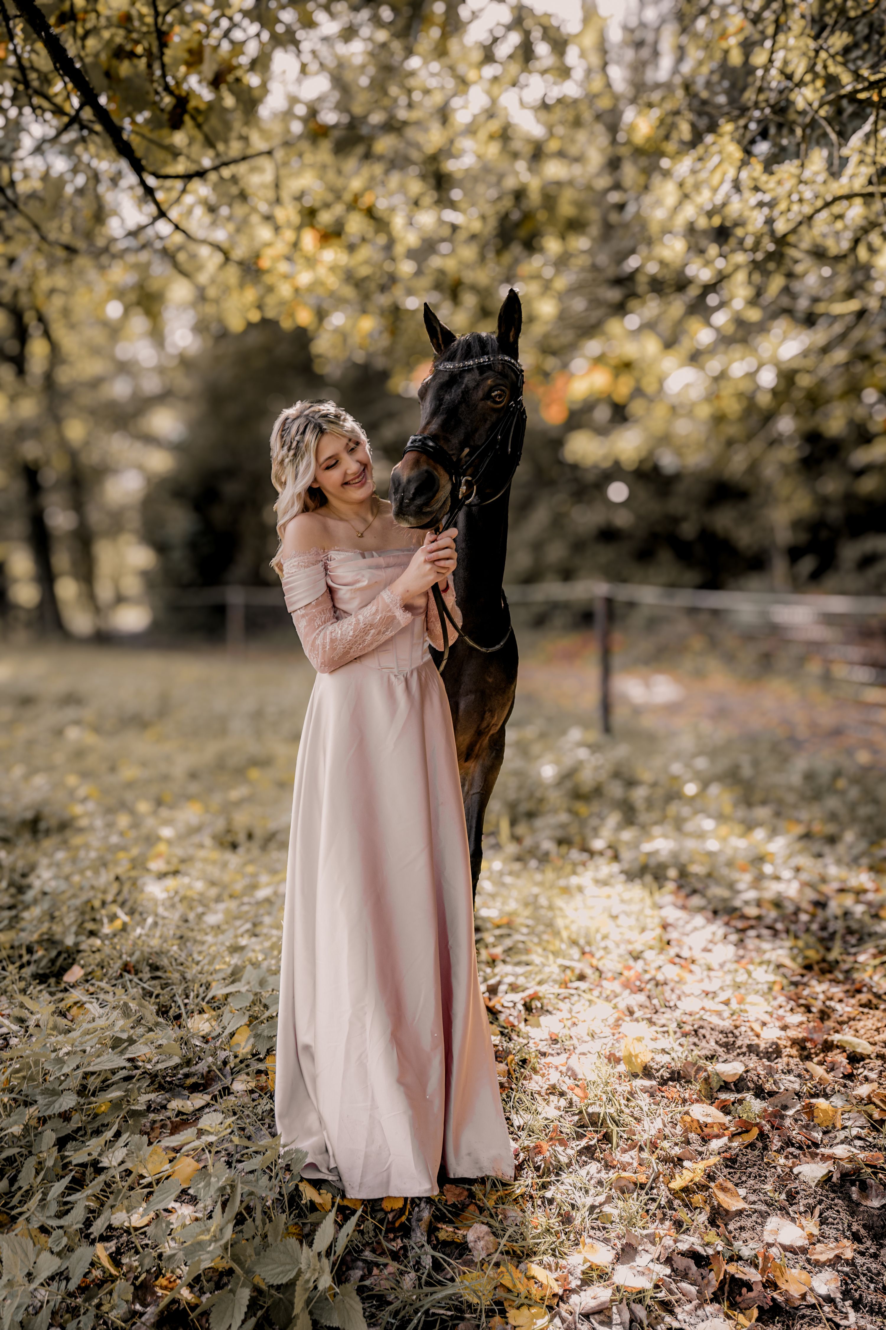 welsh dressuurpony ruin 13 Jahre alt donkerbruin zu verkaufen - Hauptfoto