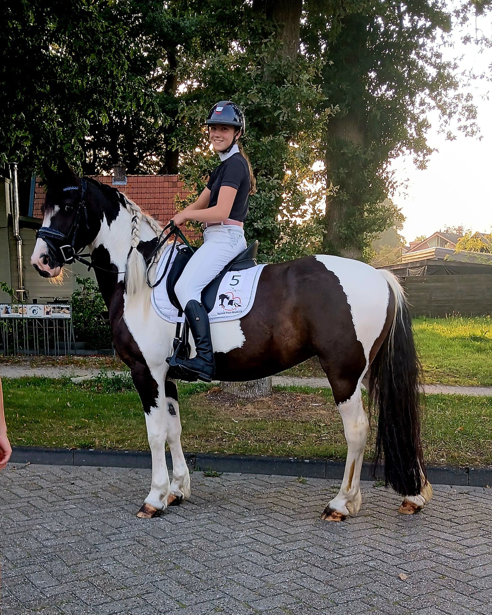 ander allround-pony merrie 8 rokov andere-kleur na predaj - Foto 3