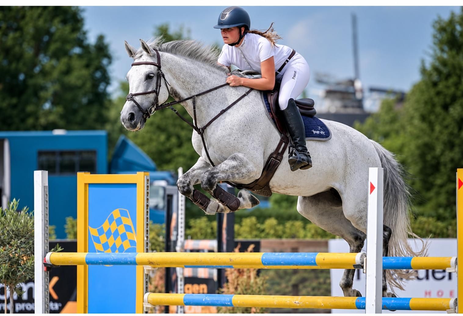 Hasta La Fiesta | 12-årig hoppe | Colman x Schiffon | 1,73 m