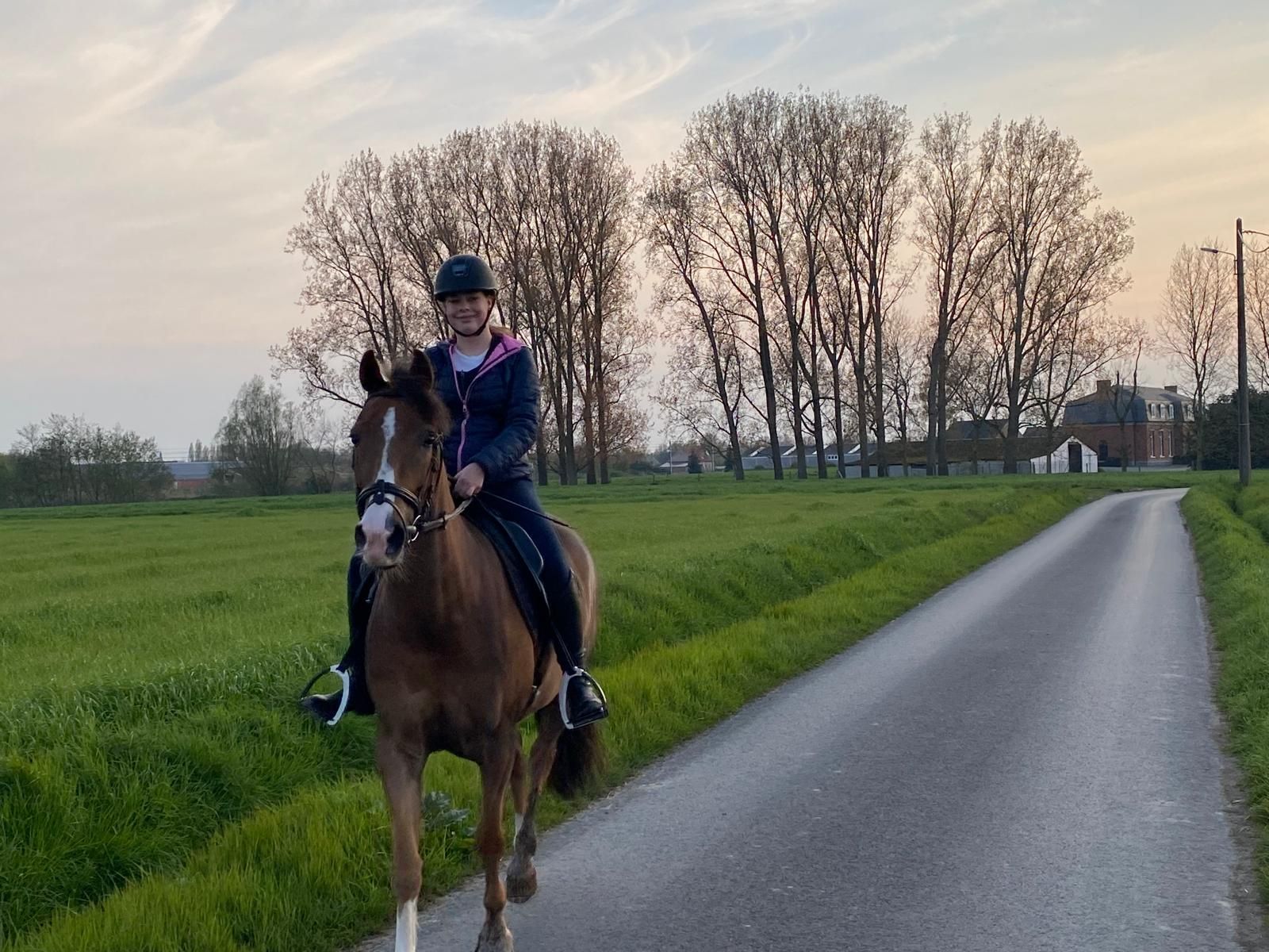 recreatie-pony merrie 10 år bruin till salu - Foto 2
