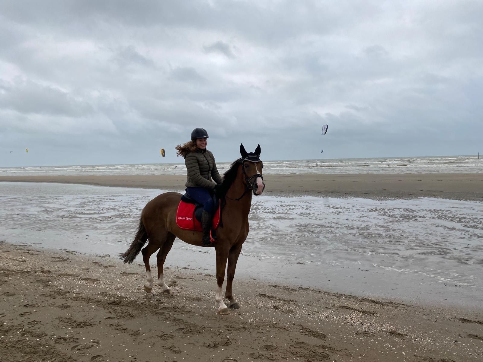 recreatie-pony merrie 10 år bruin till salu - Foto 3