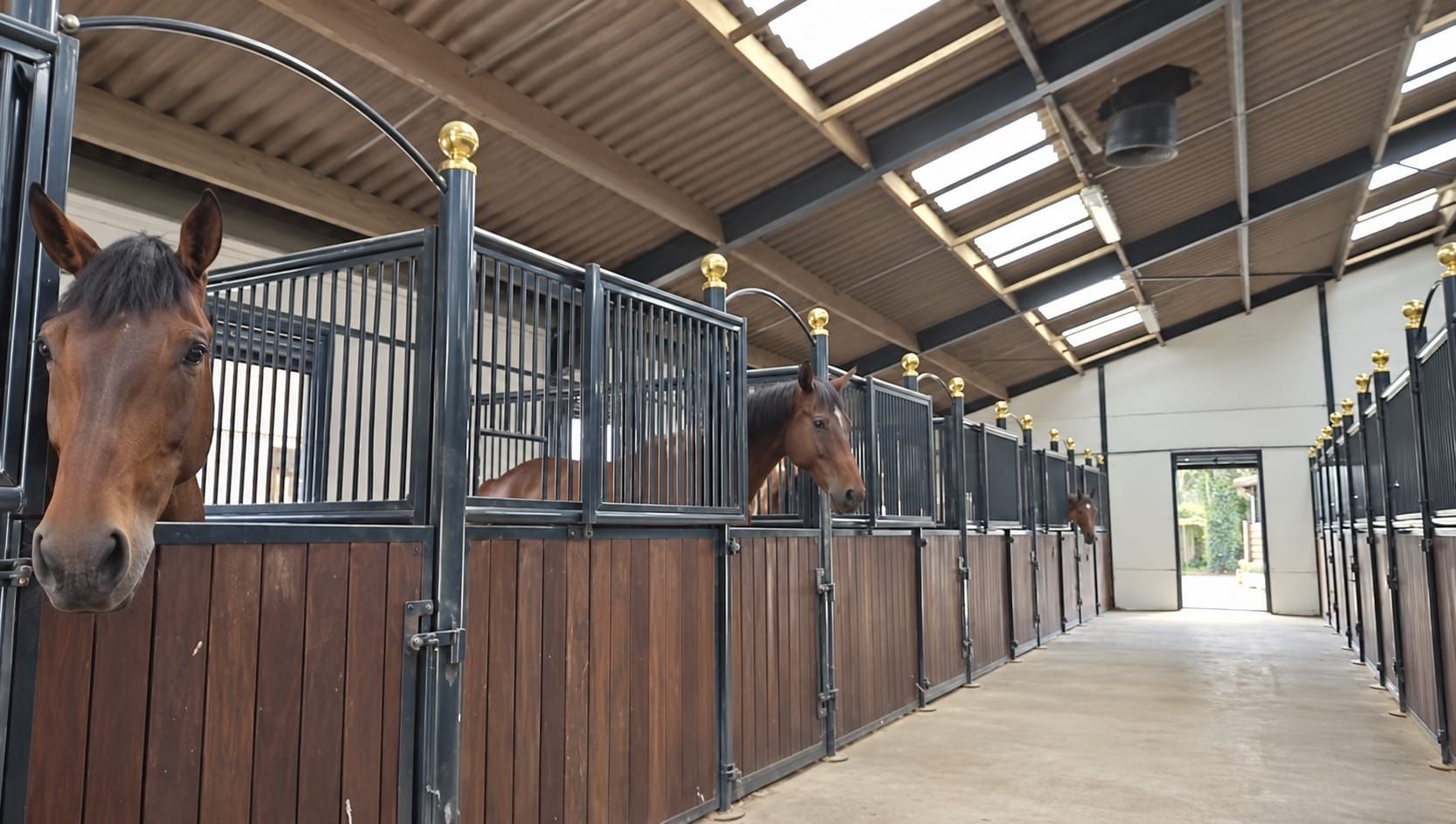 ***Exclusively for rent: equestrian property near Breda***