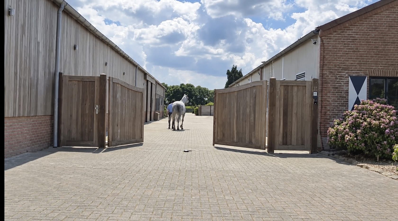 ***Exclusively for rent: equestrian property near Breda*** - Photo 4