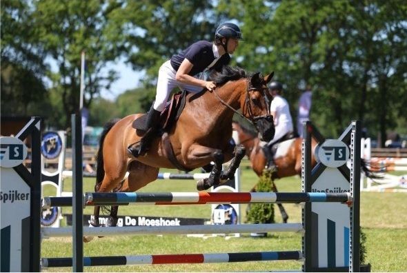 Caline Z – Zeer brave 1.35m internationale springmerrie
