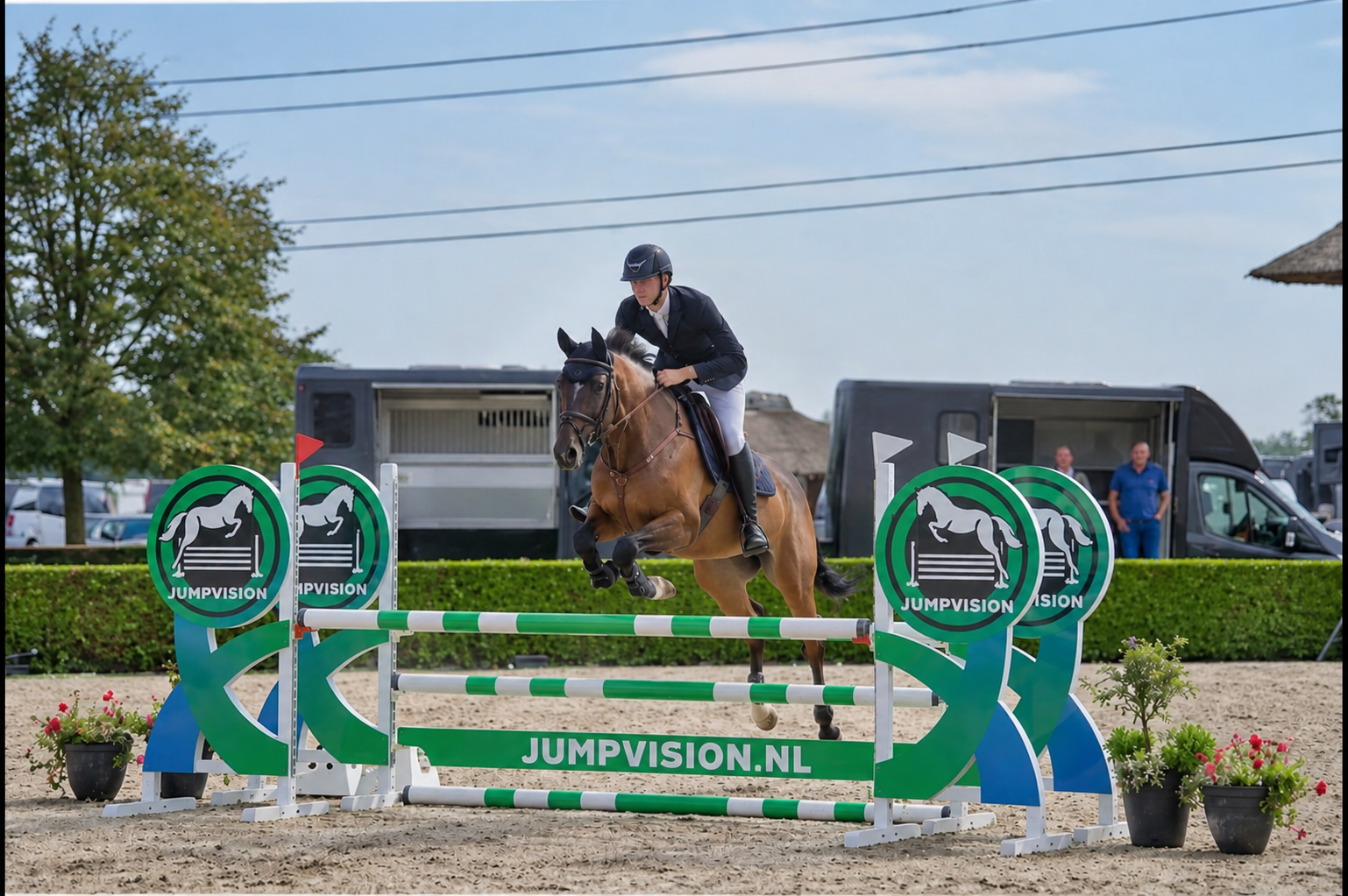 zangersheide springpaard merrie 16 år bruin til salg - Foto 3